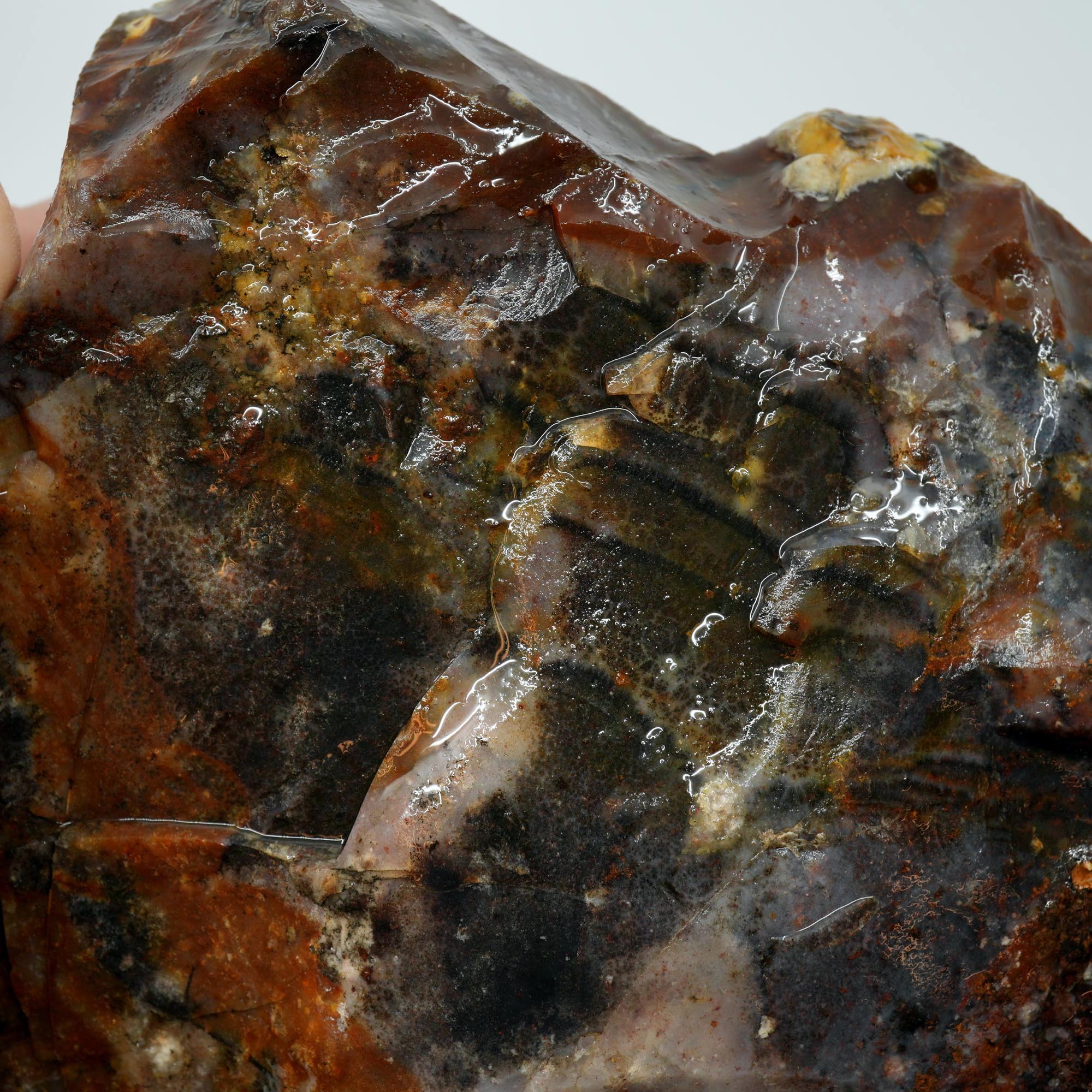 Paiute Jasper Rough - Old Stock Rolling Hills