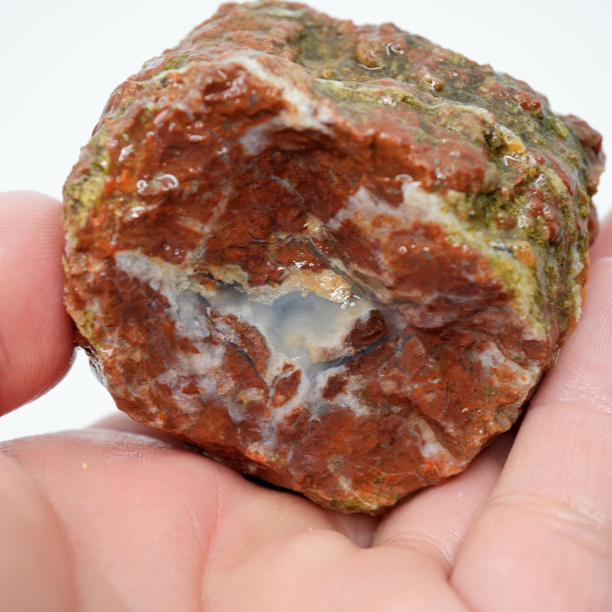 Mystery Thunderegg Rough - Light Blue Agate Window Old Stock