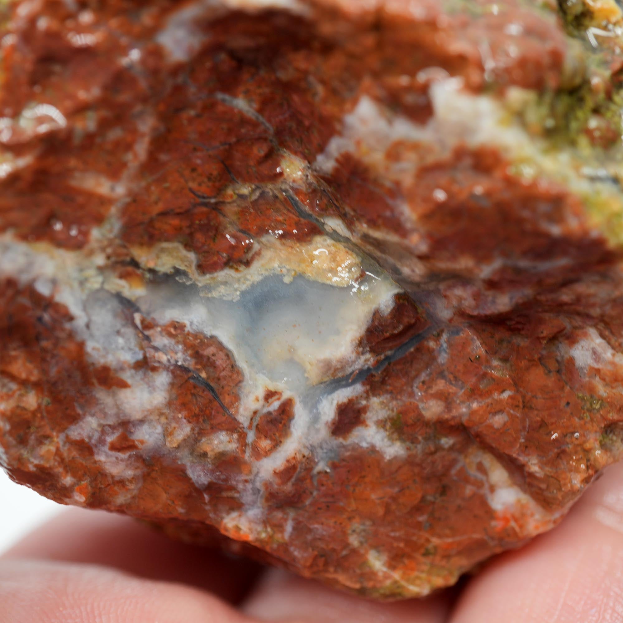Mystery Thunderegg Rough - Light Blue Agate Window Old Stock