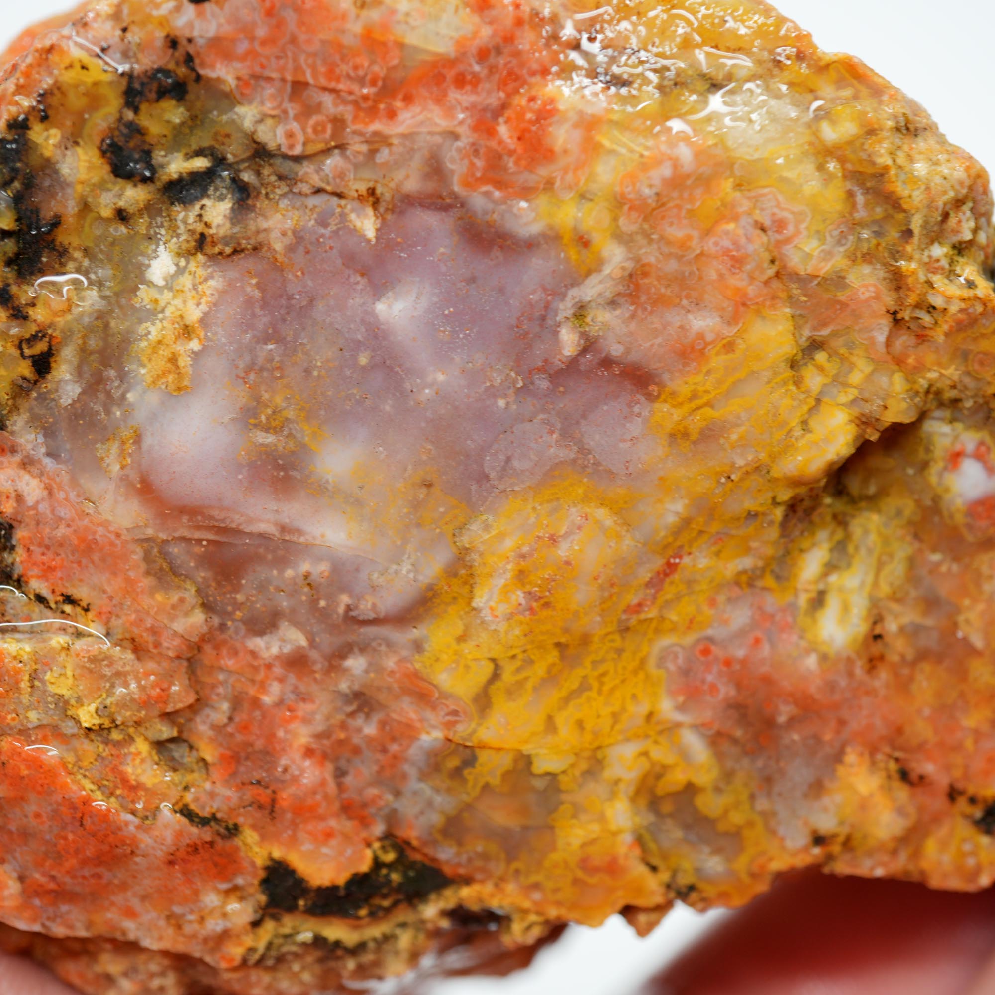 Alabama Paint Agate Rough - Bright Red Purple Gold Trimmer