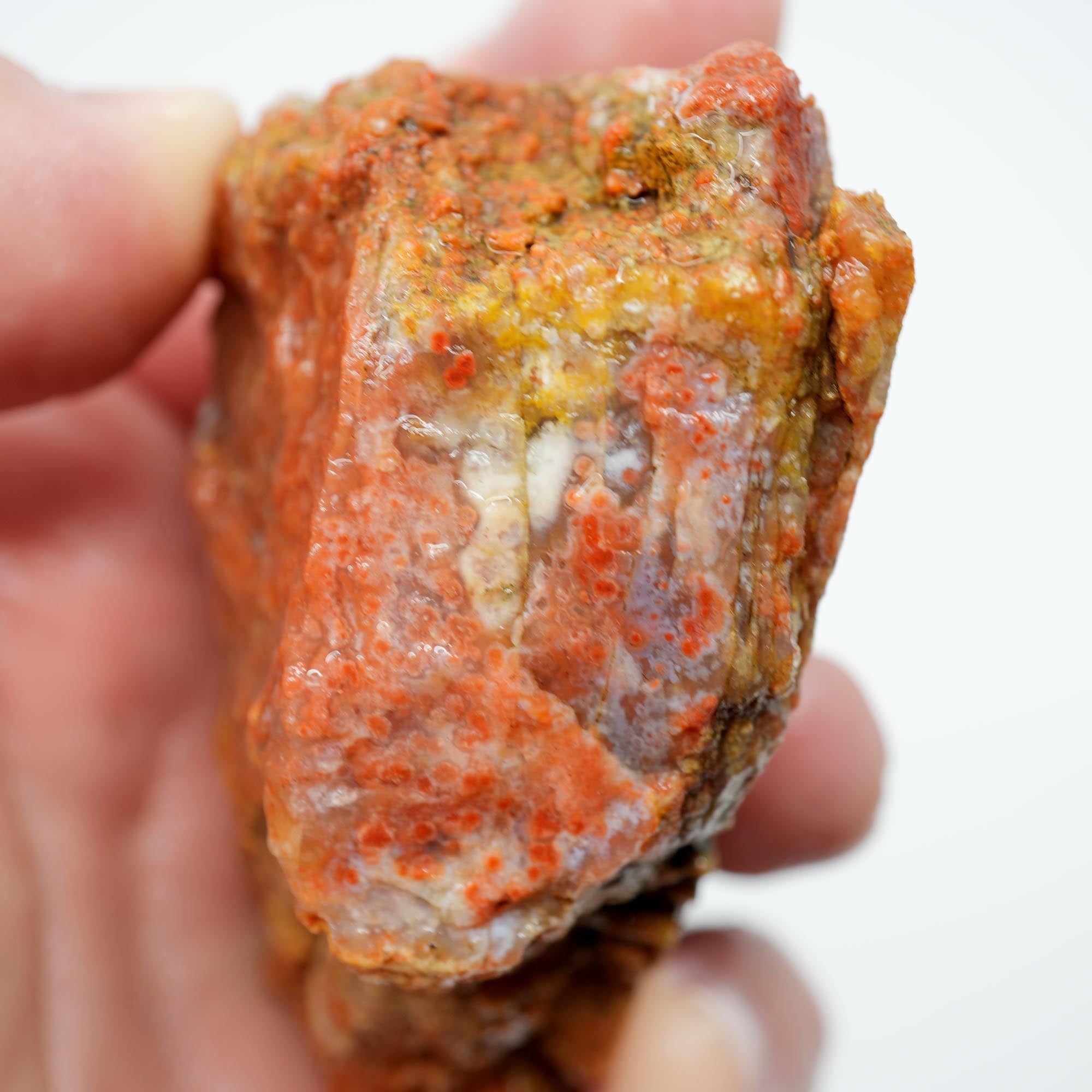 Alabama Paint Agate Rough - Bright Red Purple Gold Trimmer