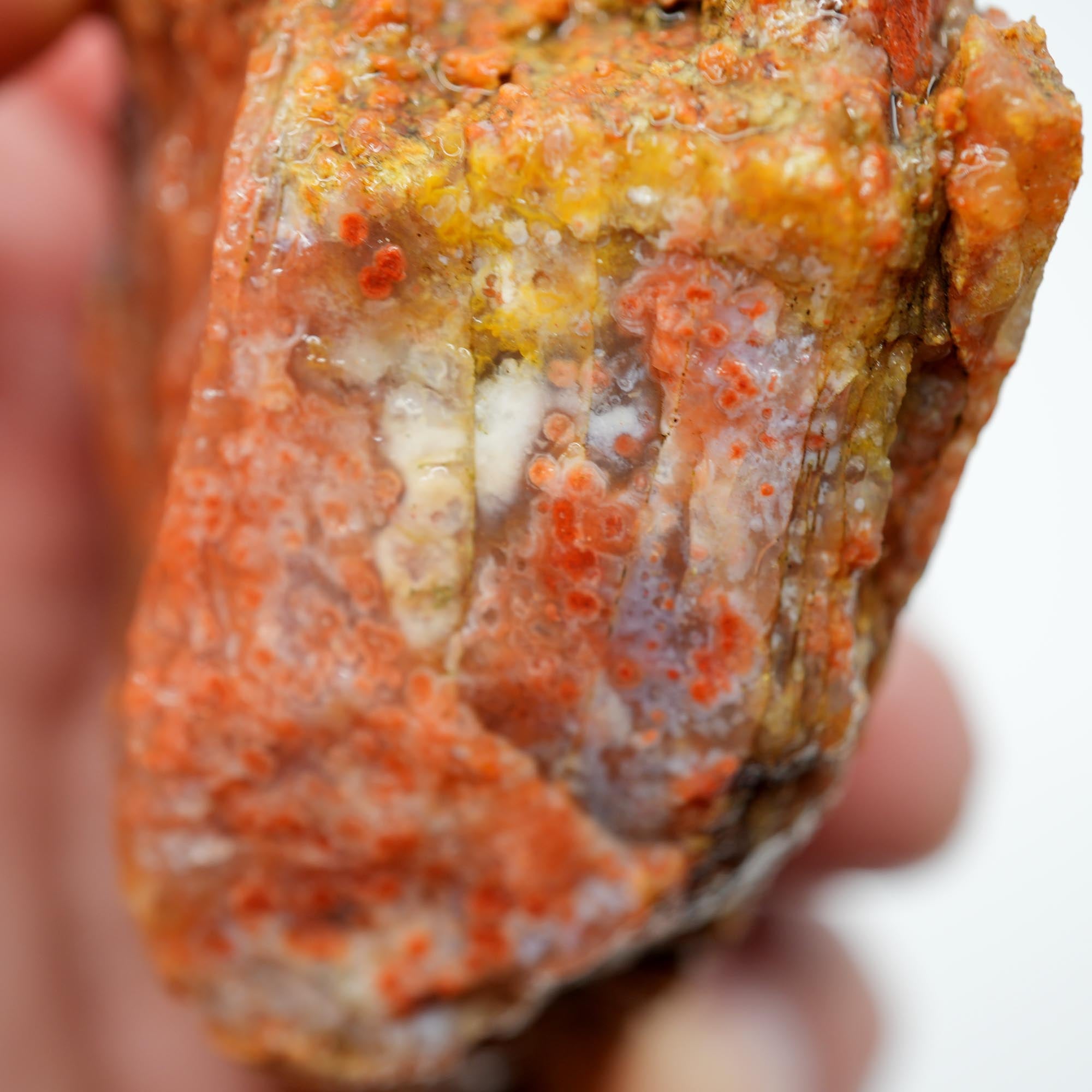 Alabama Paint Agate Rough - Bright Red Purple Gold Trimmer