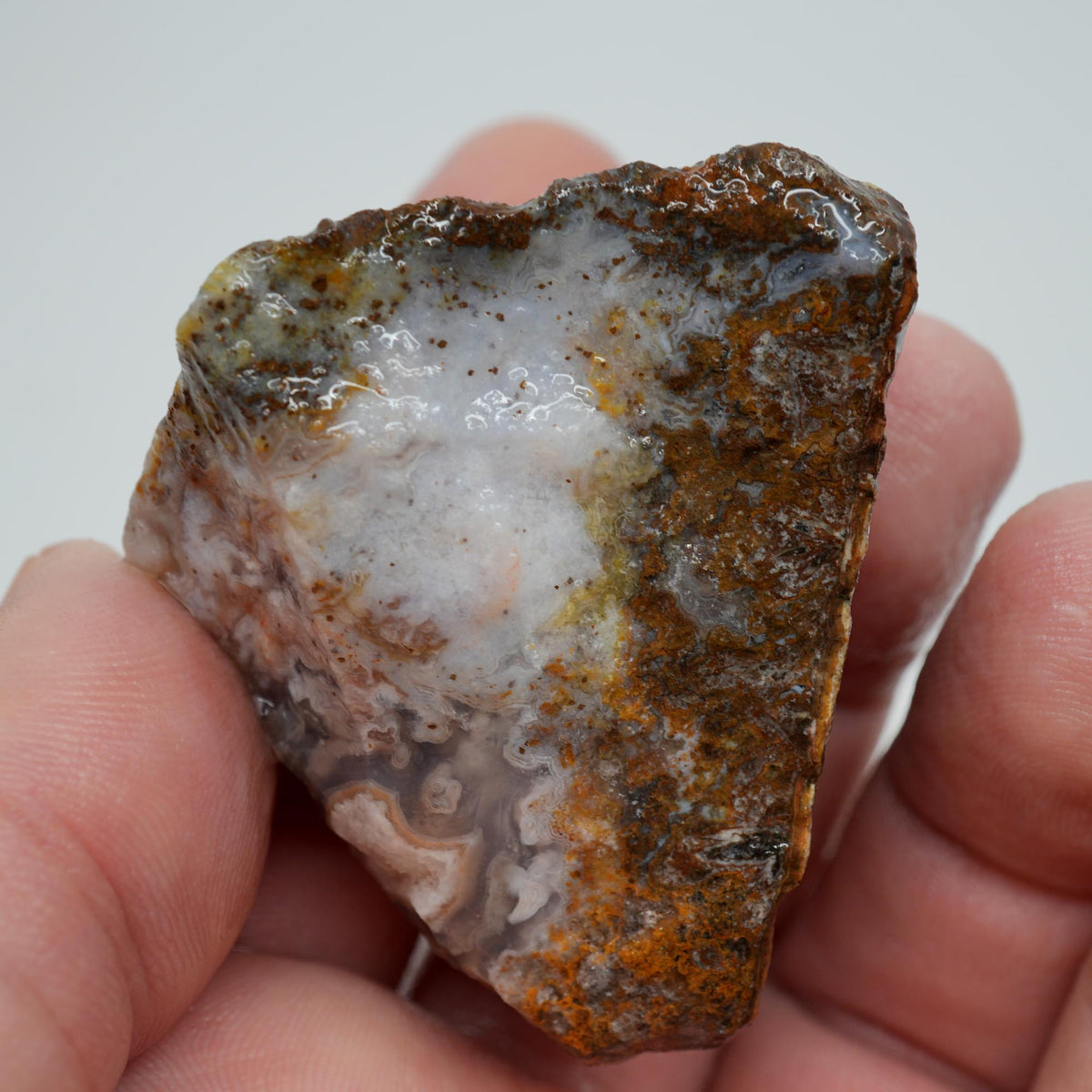 Agua Nueva Agate Rough - Moss in Light Fortification Mexican Moss Trimmer