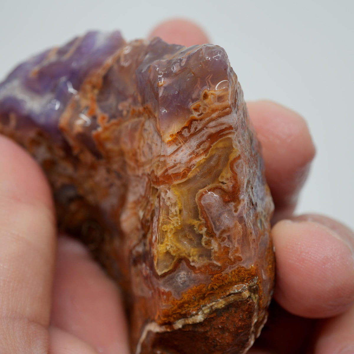 Agua Nueva Agate Rough - Golden Moss Bright Purple Mexican Moss Trimmer