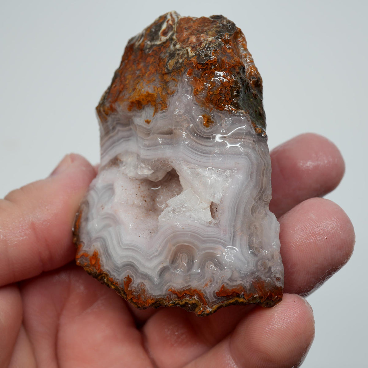 Agua Nueva Agate Rough - Druzy Moss Tube Fortification Mexican Moss Trimmer