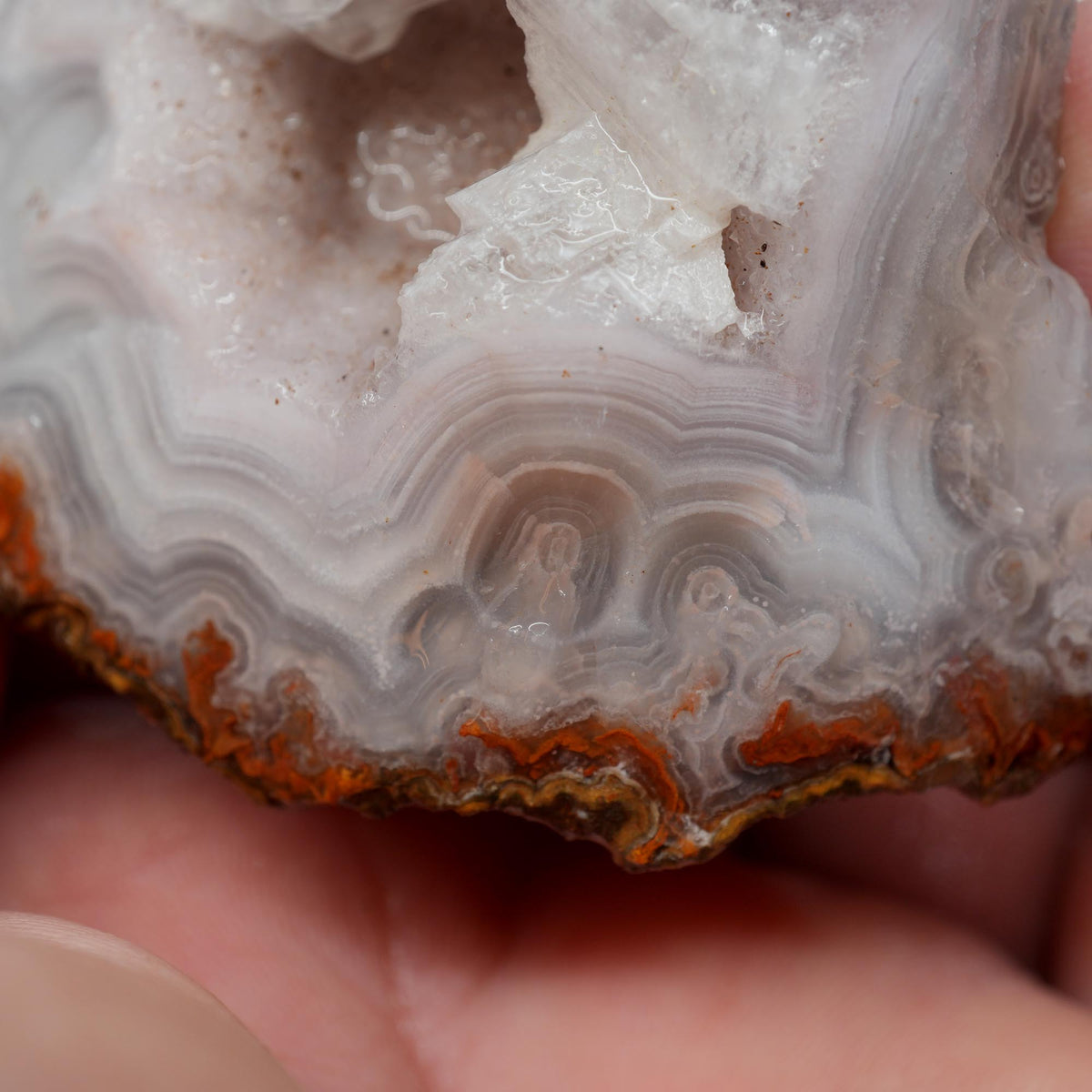 Agua Nueva Agate Rough - Druzy Moss Tube Fortification Mexican Moss Trimmer