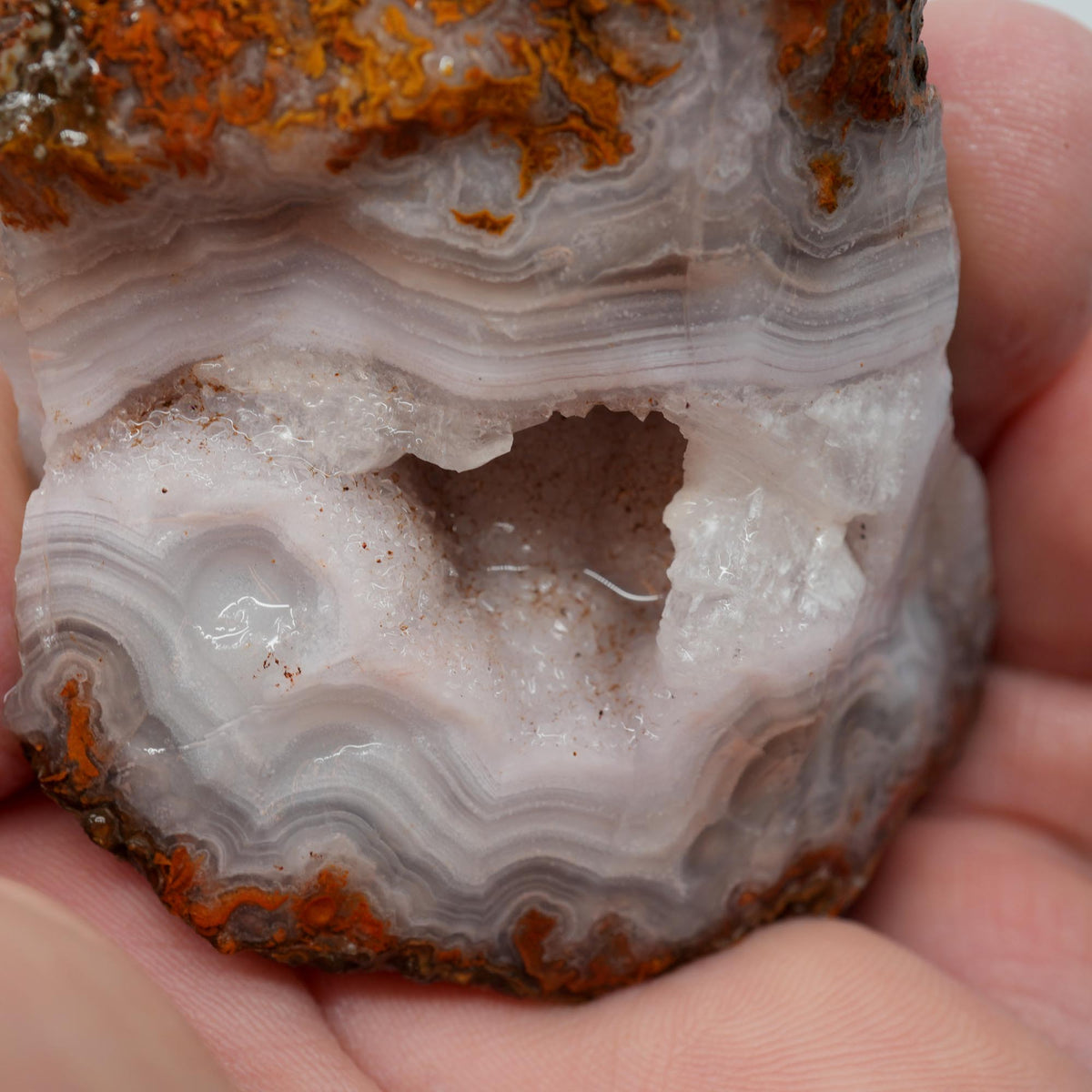 Agua Nueva Agate Rough - Druzy Moss Tube Fortification Mexican Moss Trimmer