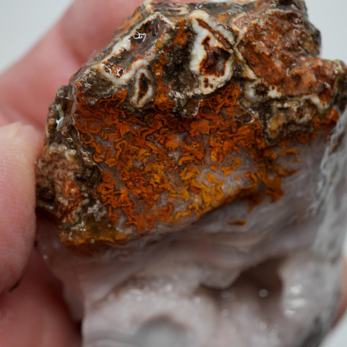 Agua Nueva Agate Rough - Druzy Moss Tube Fortification Mexican Moss Trimmer