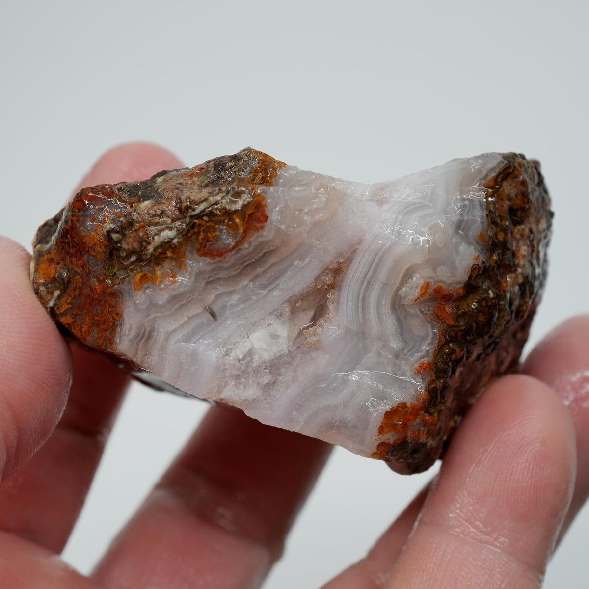 Agua Nueva Agate Rough - Druzy Moss Tube Fortification Mexican Moss Trimmer
