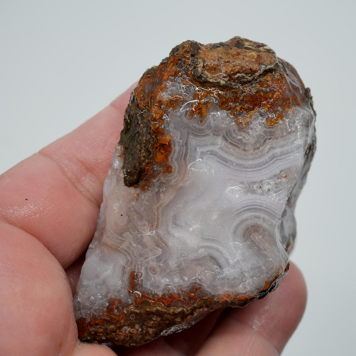 Agua Nueva Agate Rough - Druzy Moss Tube Fortification Mexican Moss Trimmer