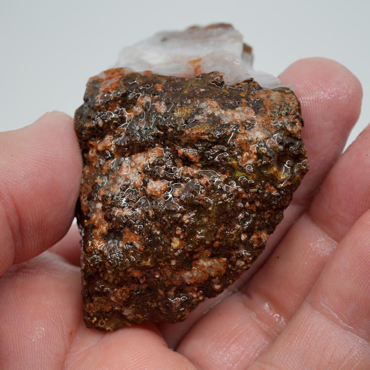 Agua Nueva Agate Rough - Druzy Moss Tube Fortification Mexican Moss Trimmer