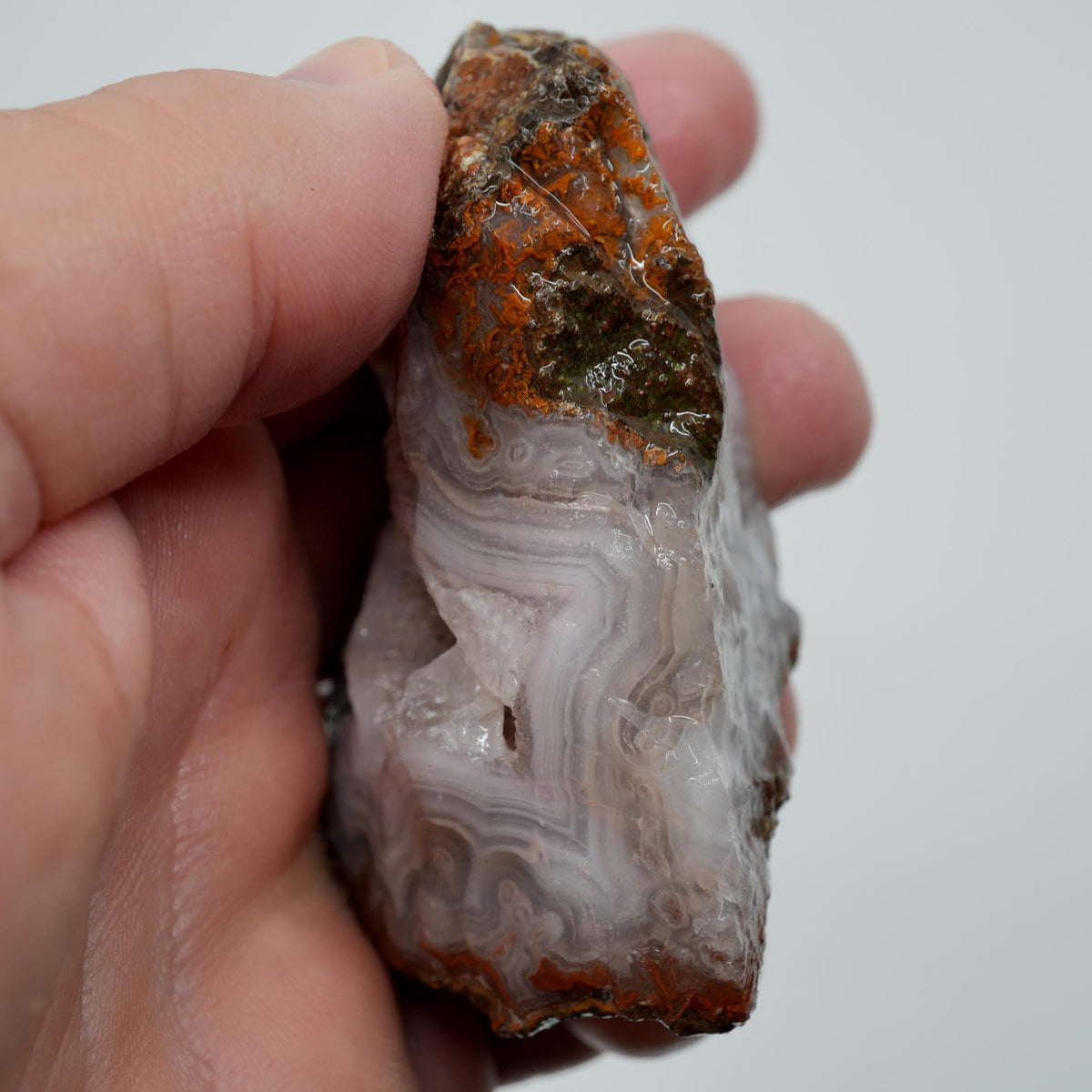 Agua Nueva Agate Rough - Druzy Moss Tube Fortification Mexican Moss Trimmer