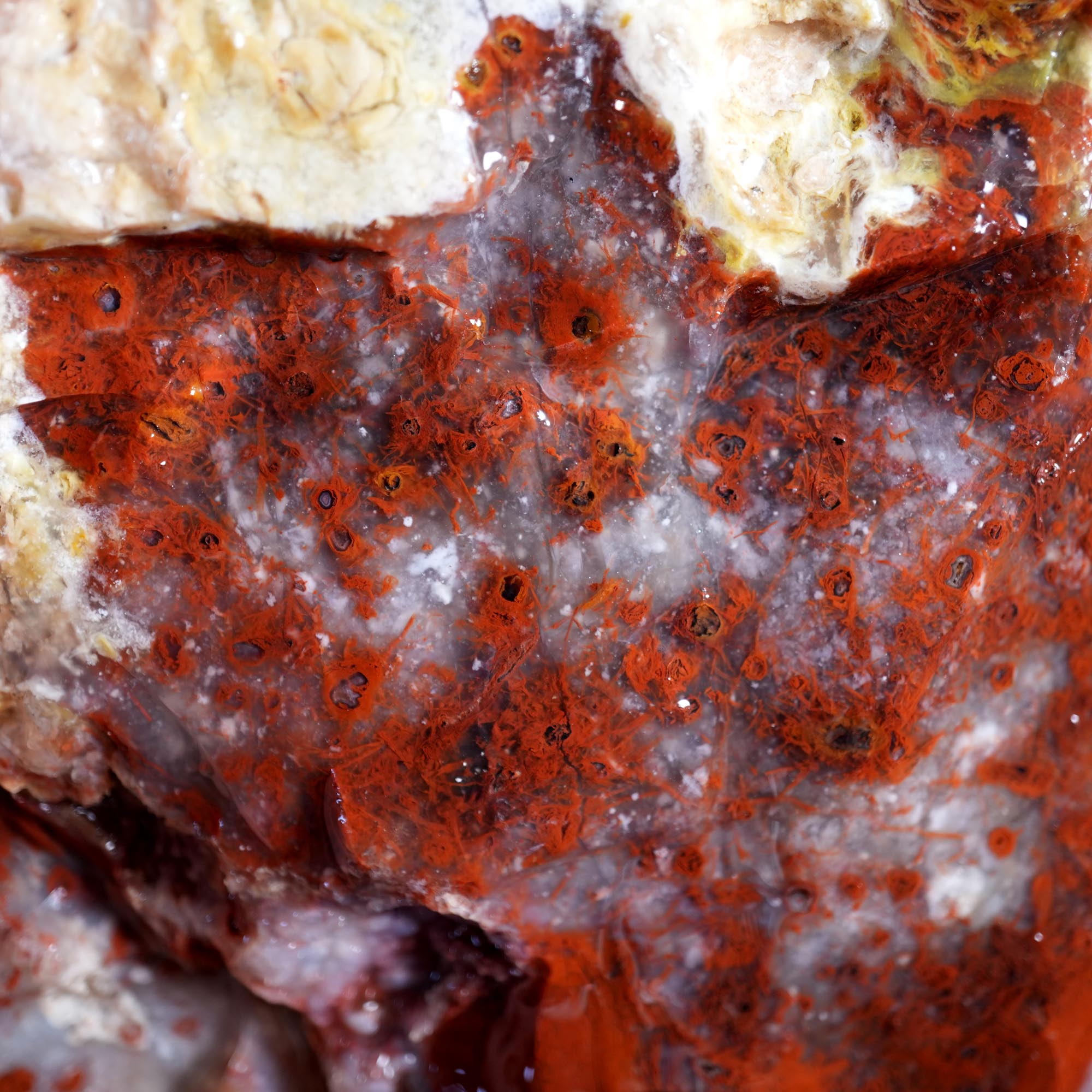Kramer Hills Agate Flatrate - Bright Red Cutting Rough California