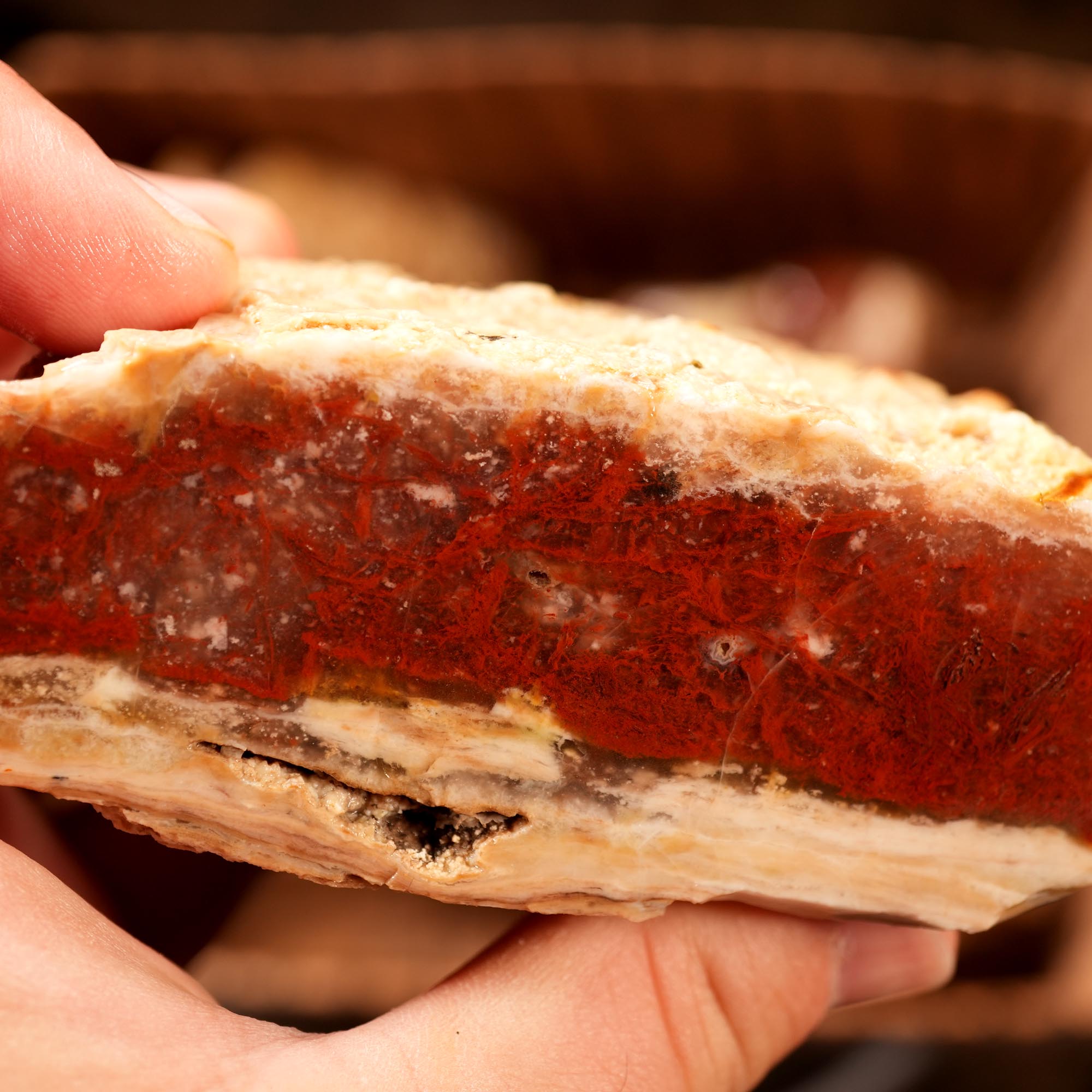 Kramer Hills Agate Flatrate - Bright Red Cutting Rough California