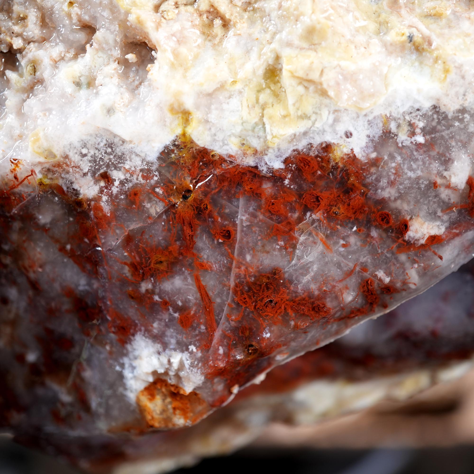 Kramer Hills Agate Flatrate - Bright Red Cutting Rough California