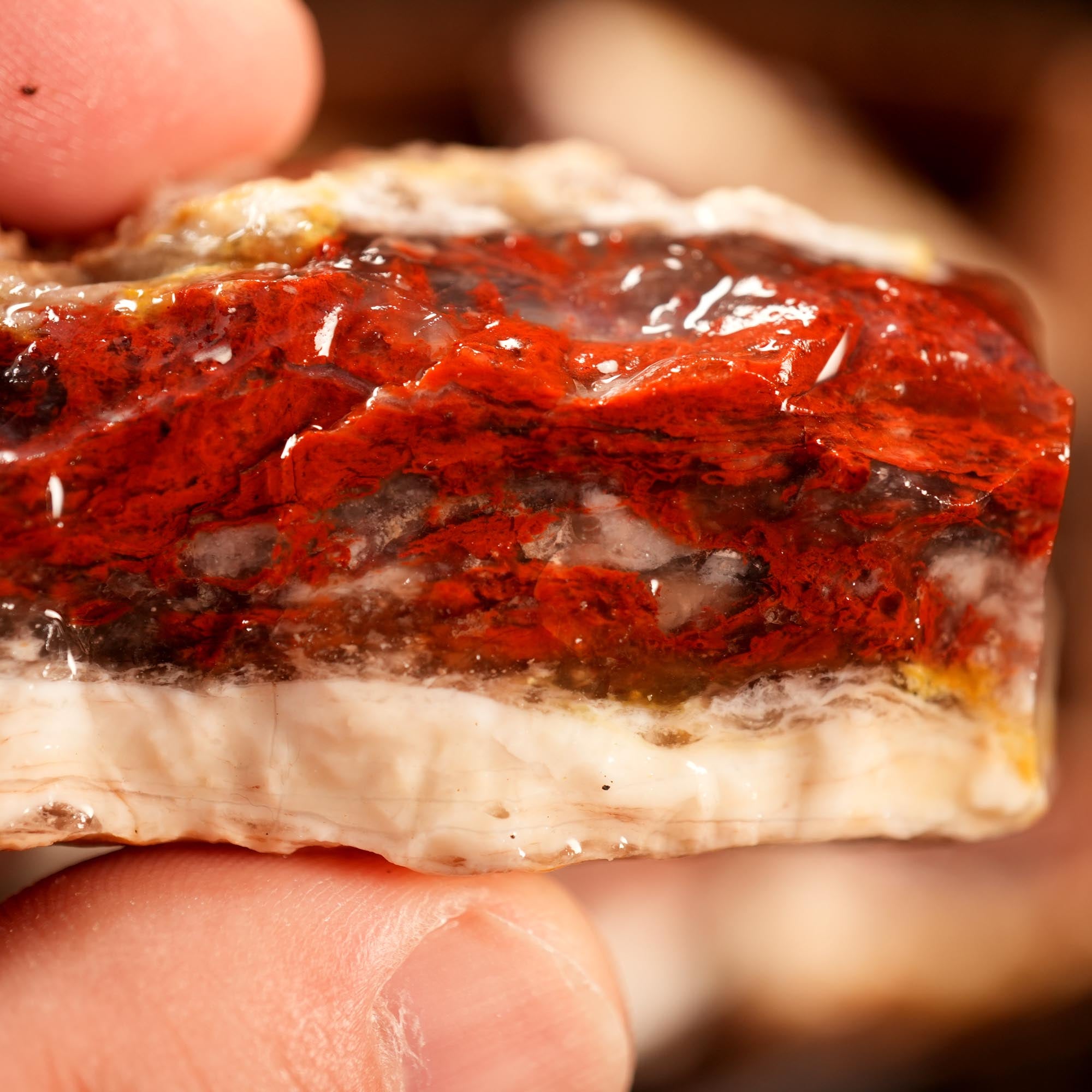 Kramer Hills Agate Flatrate - Bright Red Cutting Rough California