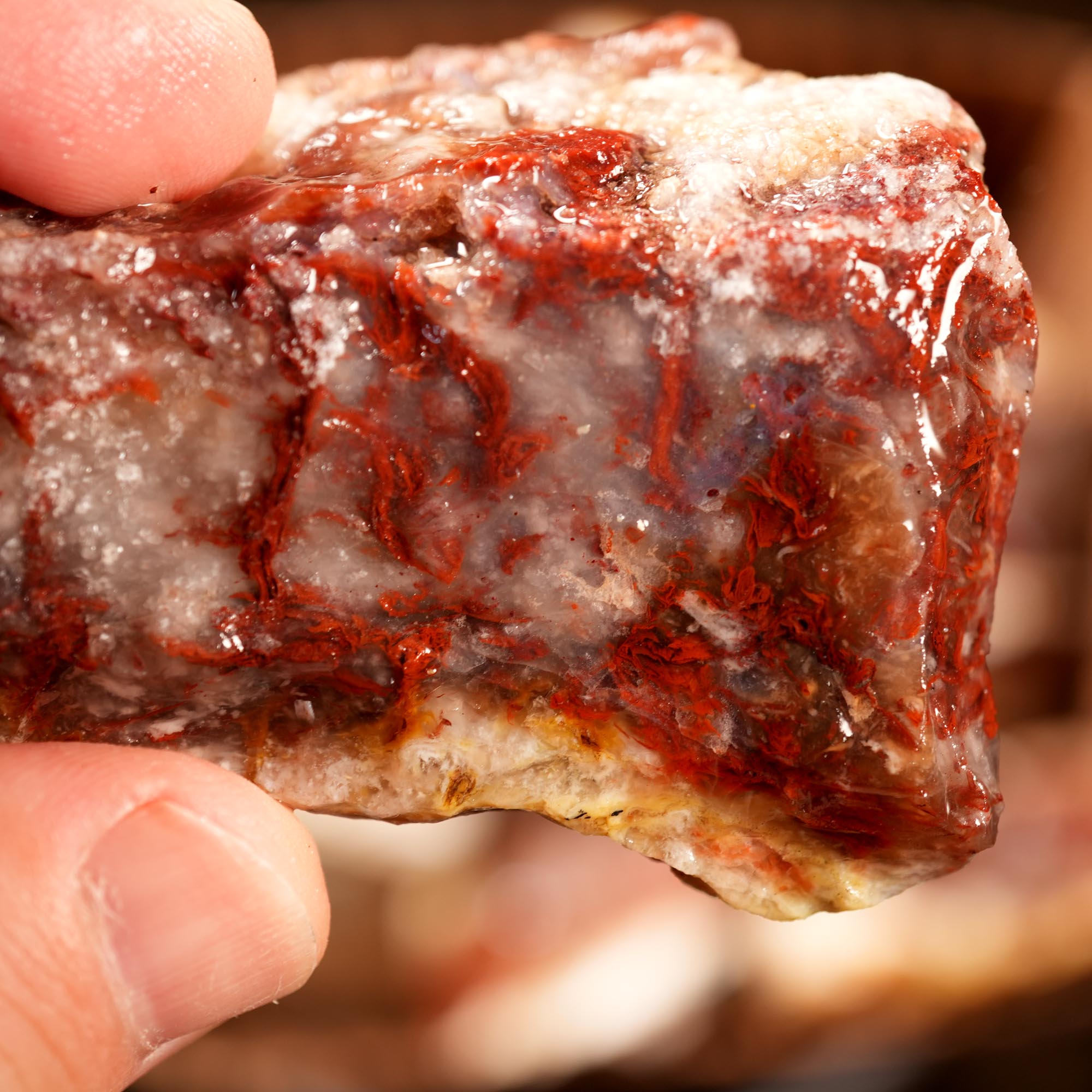 Kramer Hills Agate Flatrate - Bright Red Cutting Rough California