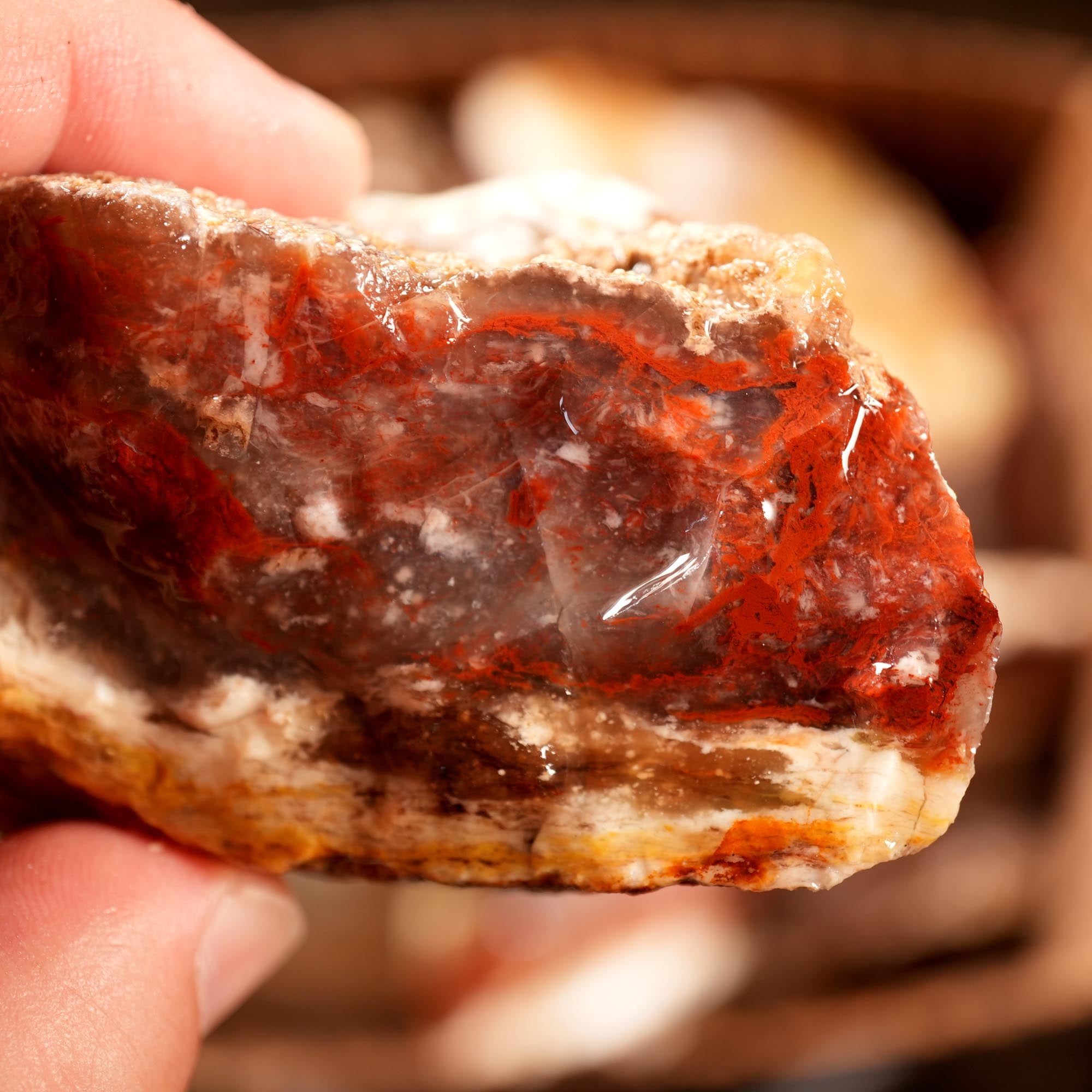 Kramer Hills Agate Flatrate - Bright Red Cutting Rough California