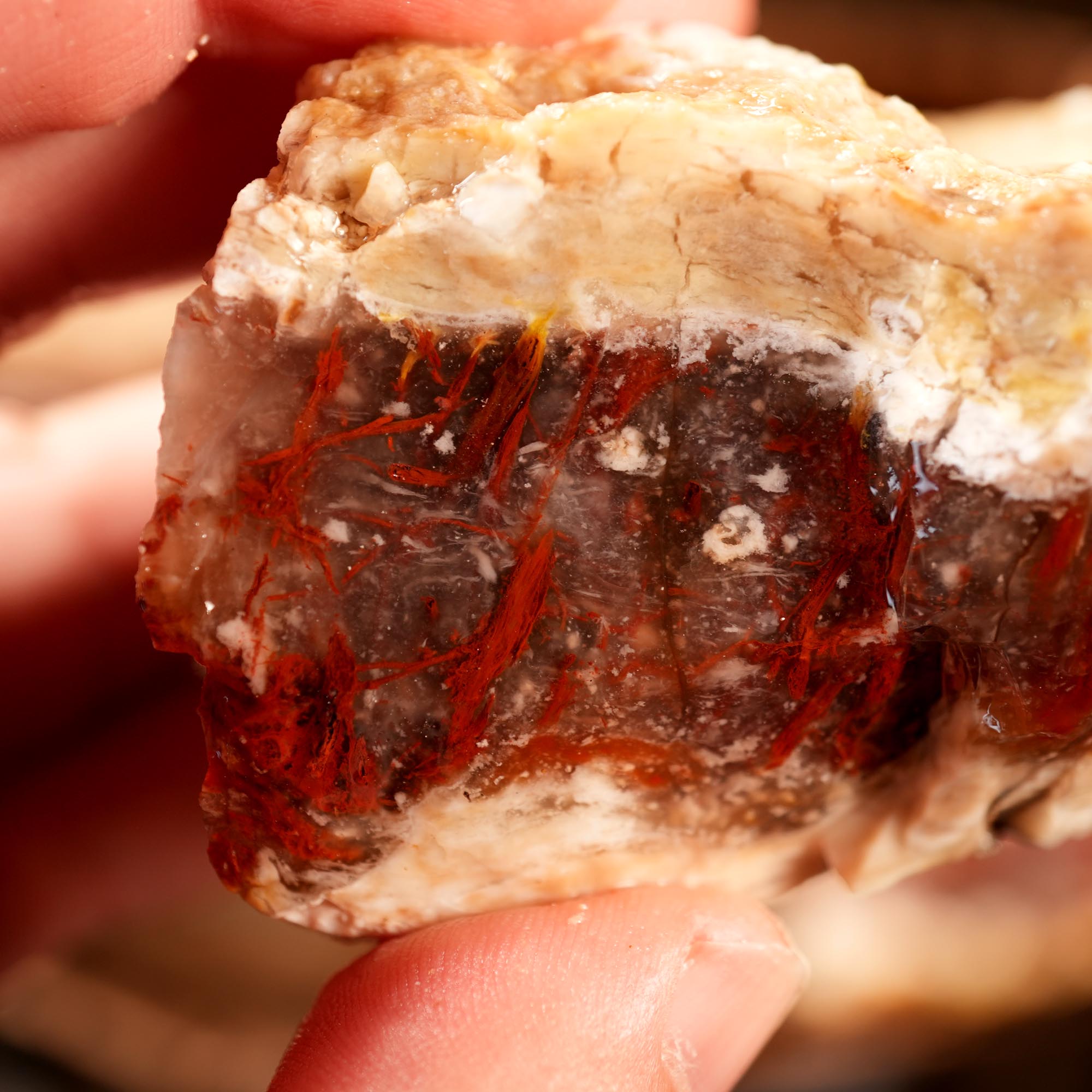 Kramer Hills Agate Flatrate - Bright Red Cutting Rough California
