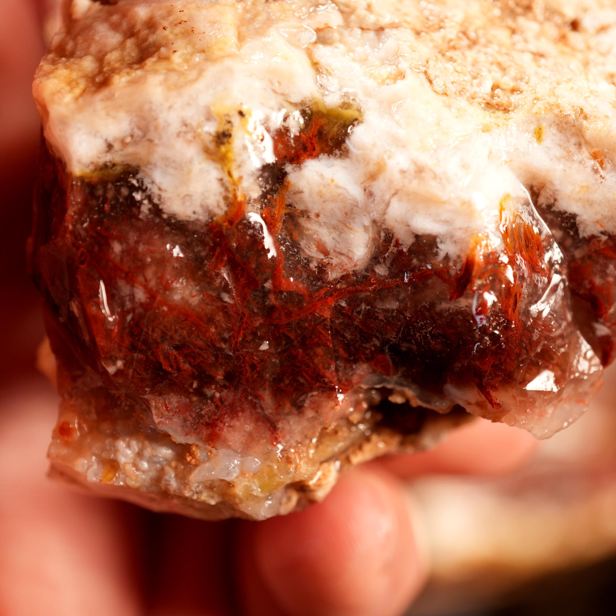 Kramer Hills Agate Flatrate - Bright Red Cutting Rough California
