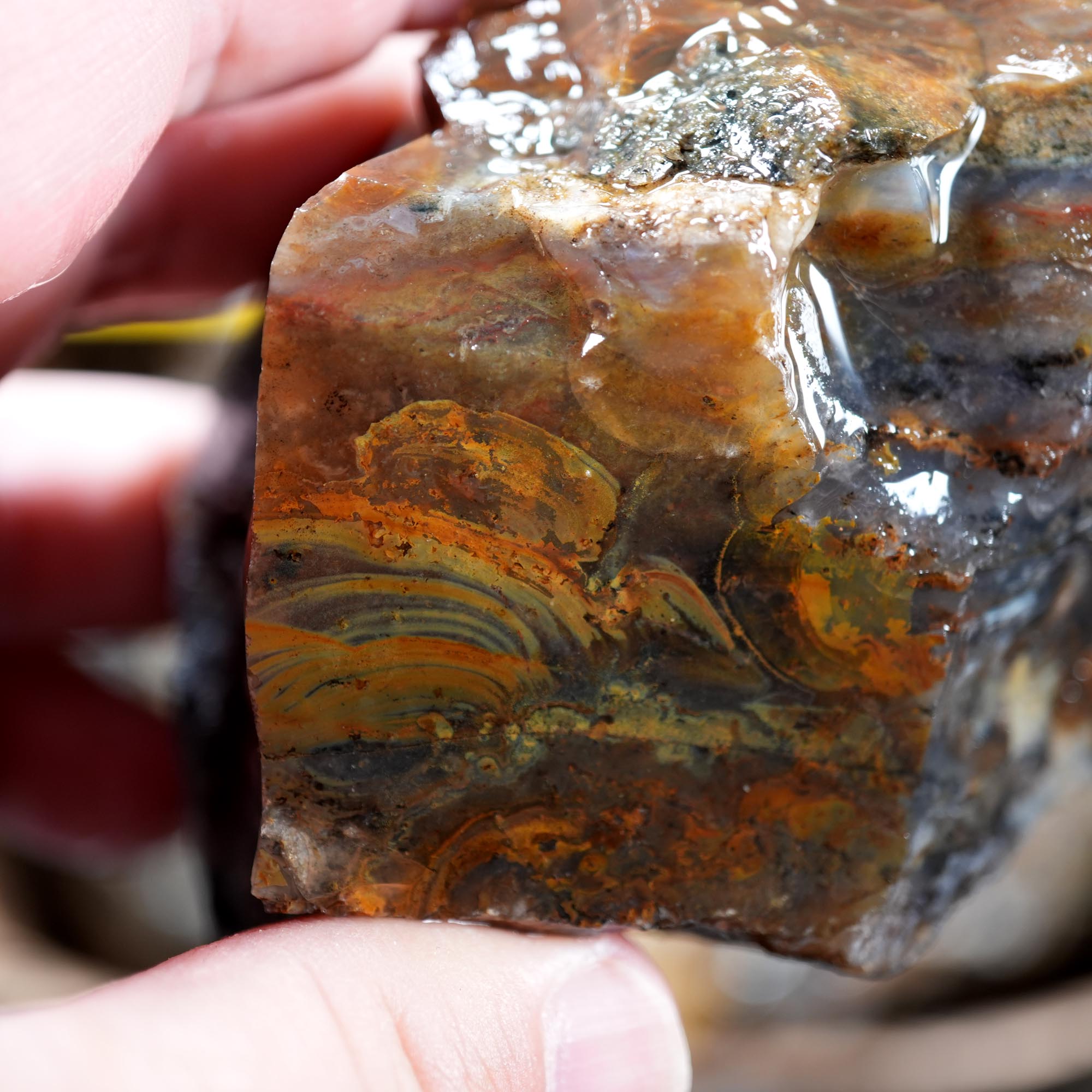 Ochoco Sunset Jasper Rough Flatrate - Insanely Rare Oregon Variety Box