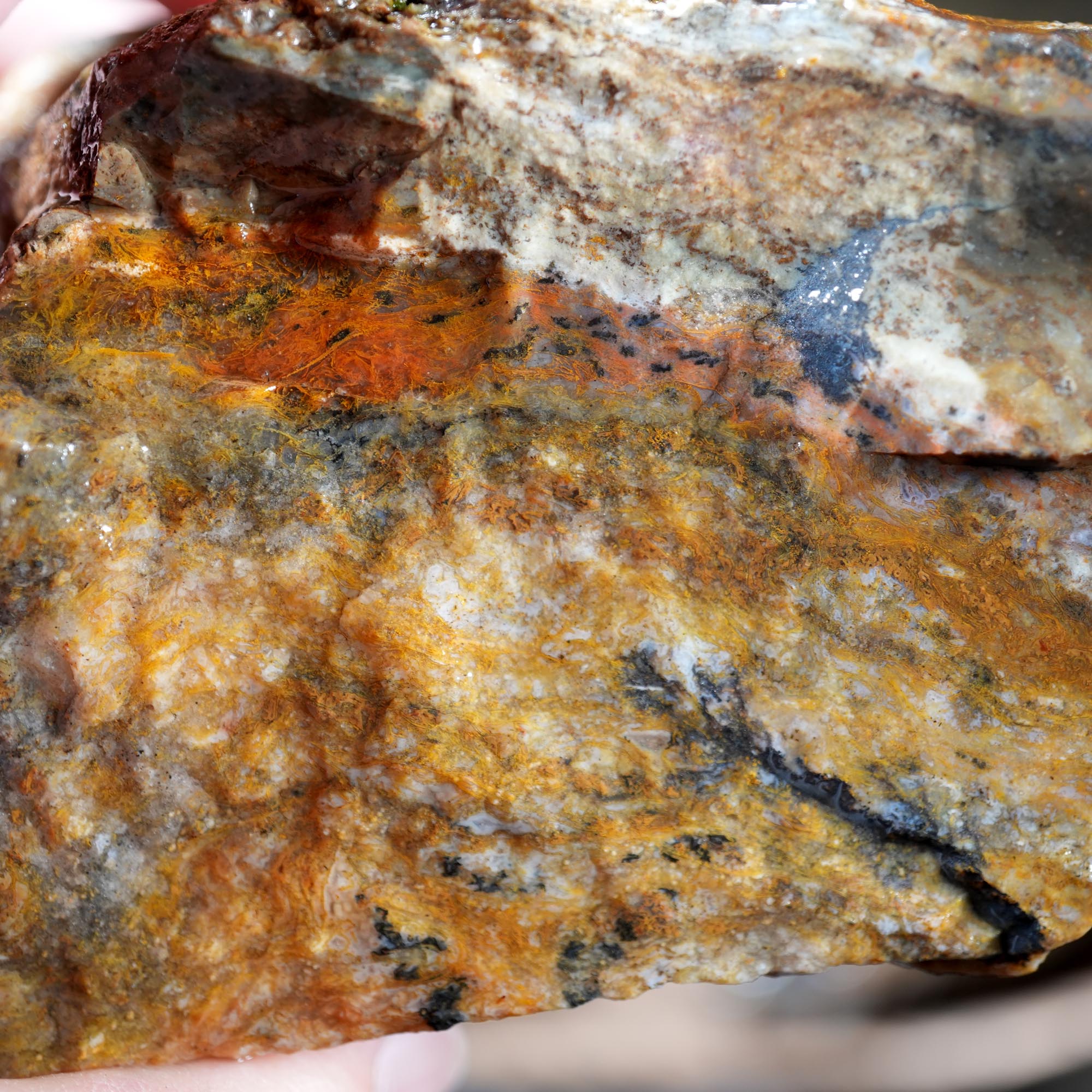 Ochoco Sunset Jasper Rough Flatrate - Rare Oregon Variety Box