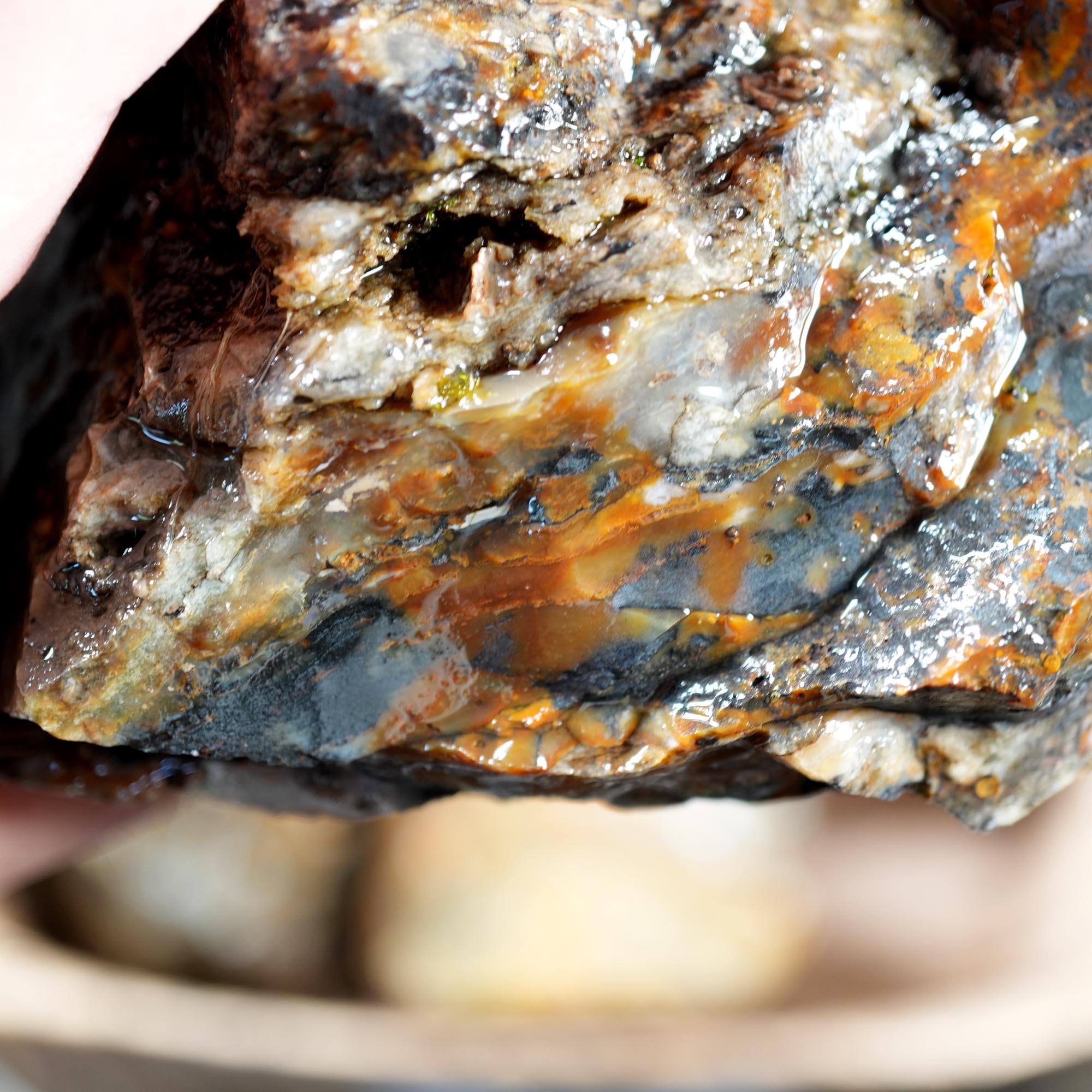 Ochoco Sunset Jasper Rough Flatrate - Rare Oregon Variety Box