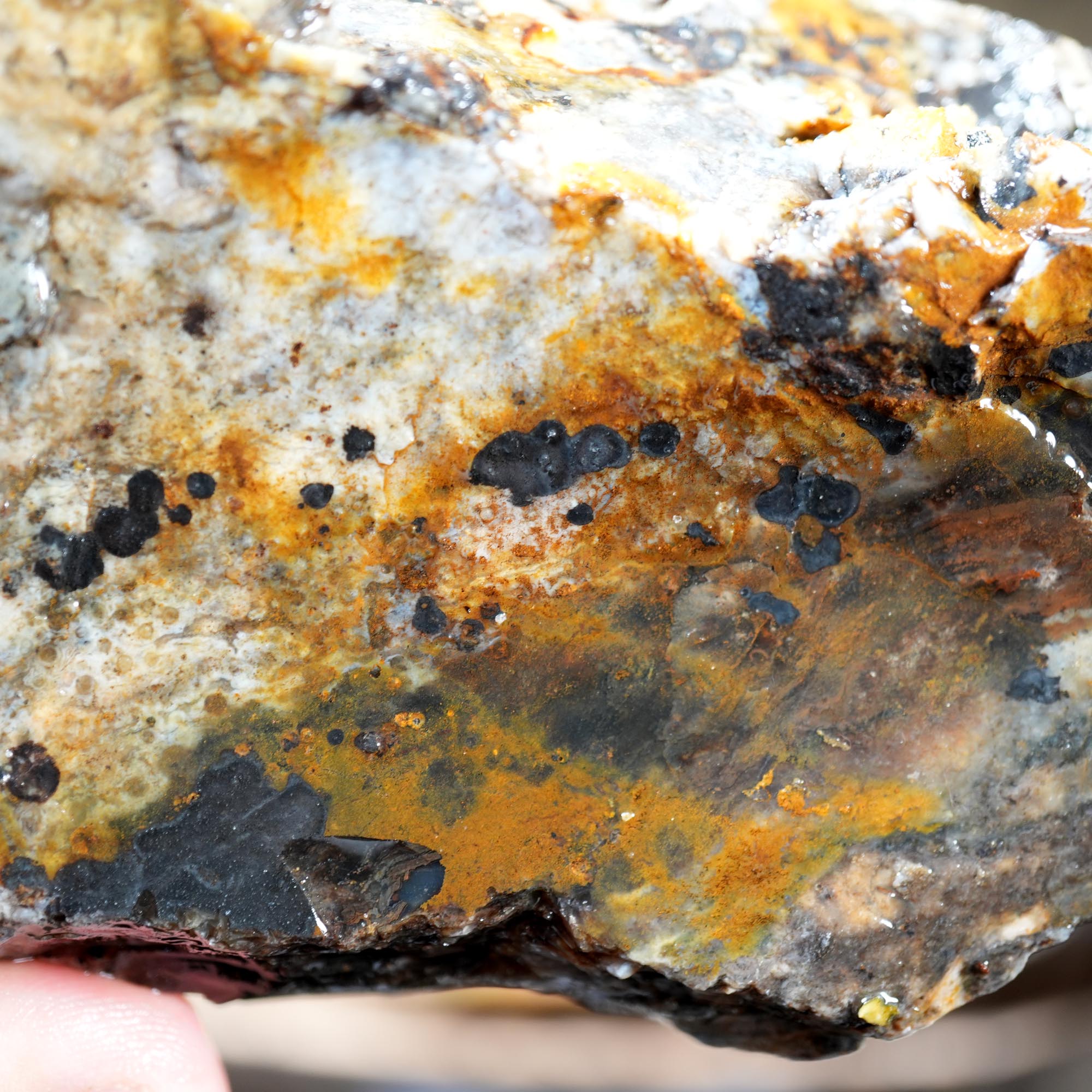 Ochoco Sunset Jasper Rough Flatrate - Rare Oregon Variety Box