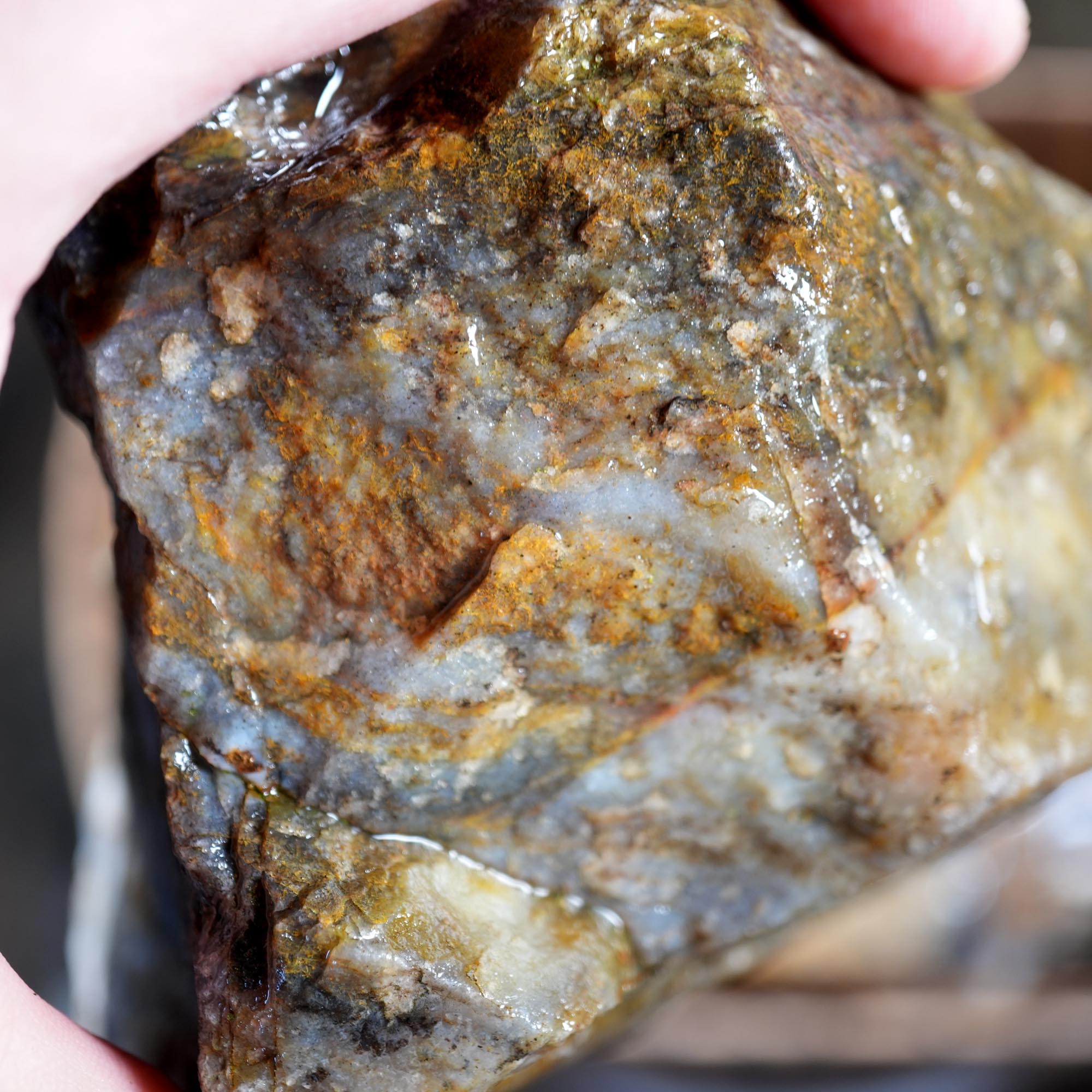 Ochoco Sunset Jasper Rough Flatrate - Rare Oregon Variety Box