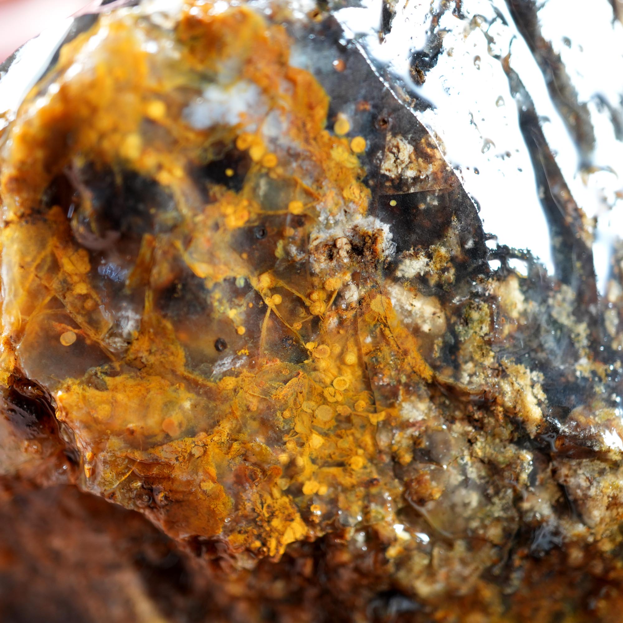 Ochoco Sunset Jasper Rough Flatrate - Rare Oregon Variety Box