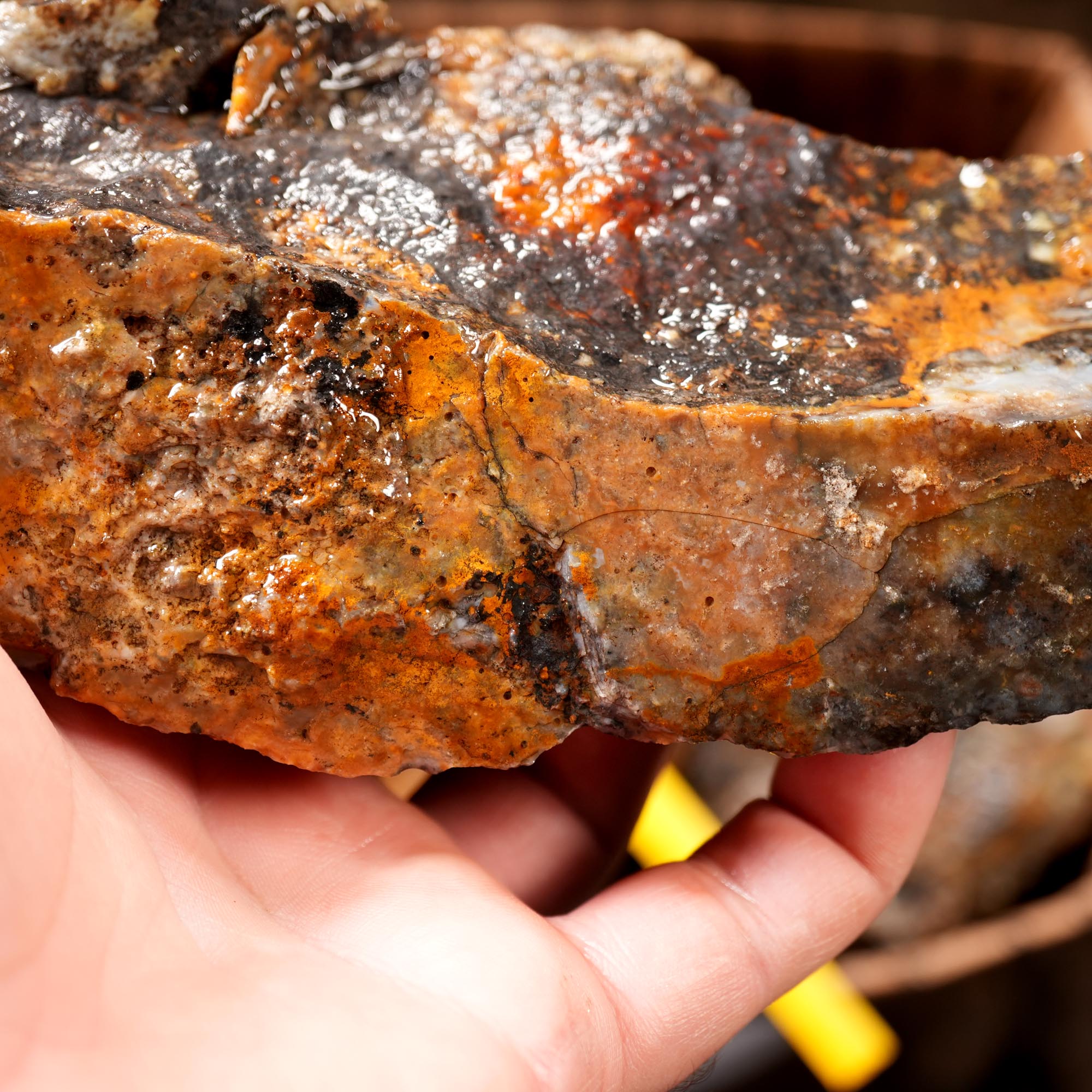 Ochoco Sunset Jasper Rough Flatrate - Rare Oregon Variety Box
