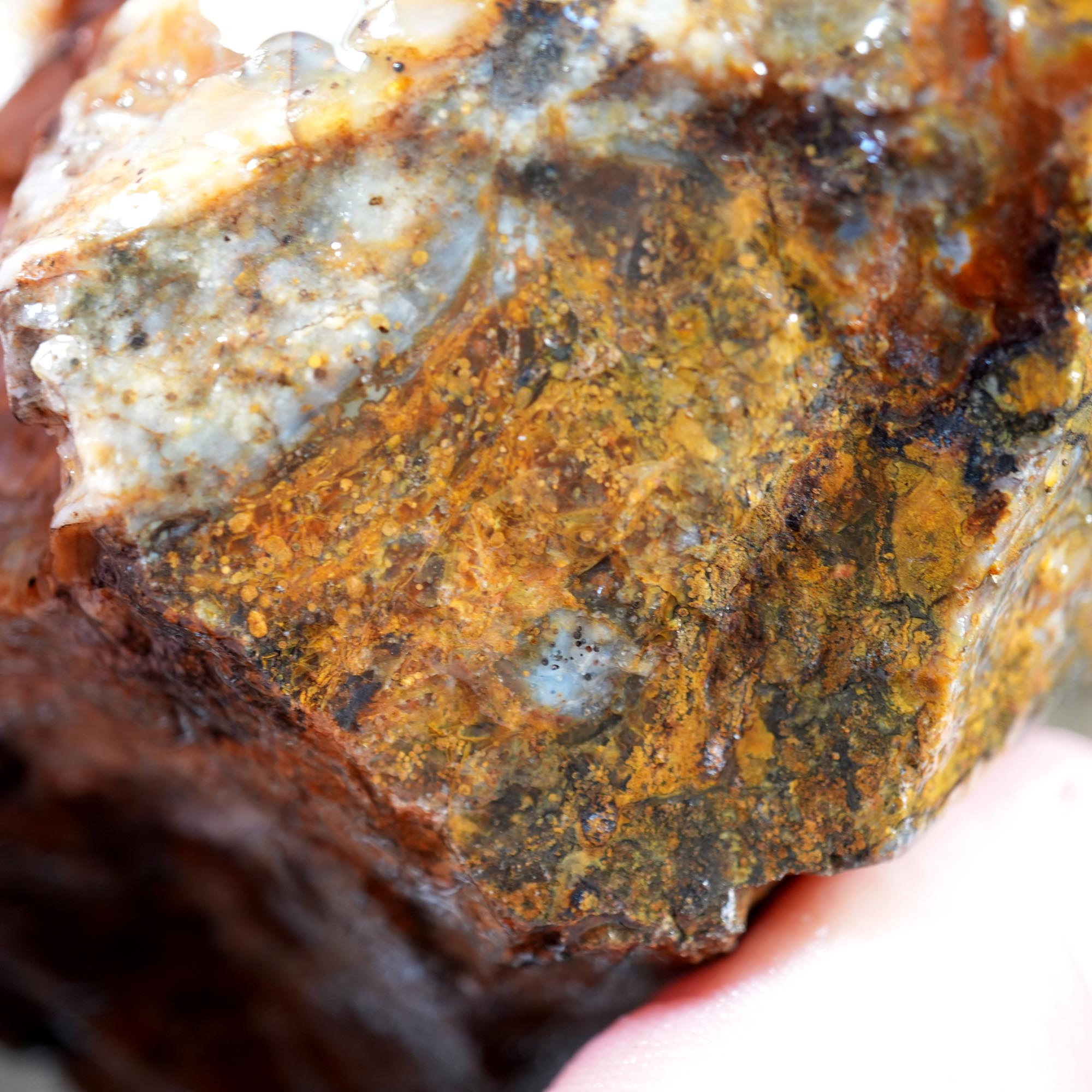 Ochoco Sunset Jasper Rough Flatrate - Rare Oregon Variety Box