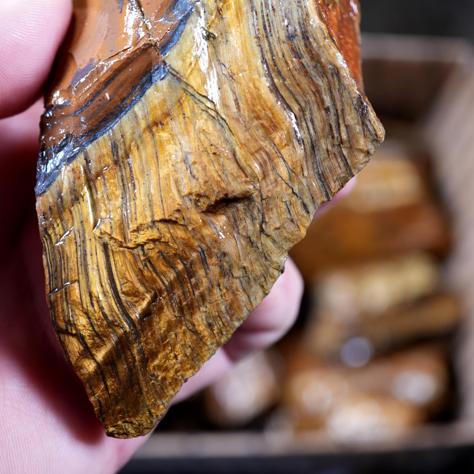 Variegated Golden Tiger Eye Rough Flatrate - Golden Flash Display Box