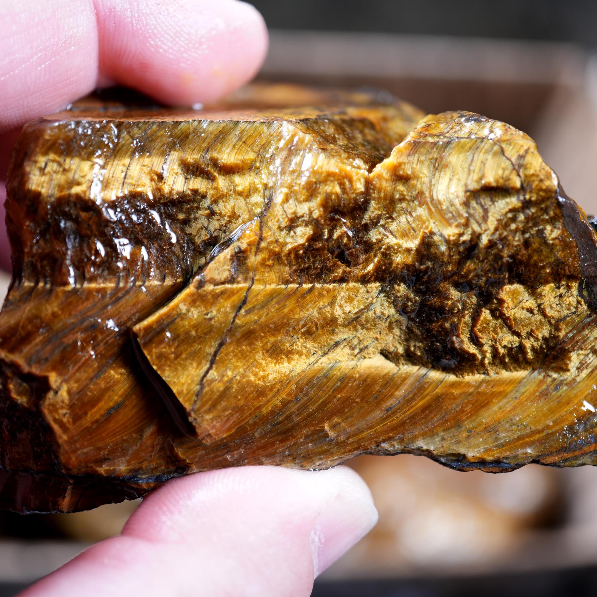 Variegated Golden Tiger Eye Rough Flatrate - Golden Flash Display Box