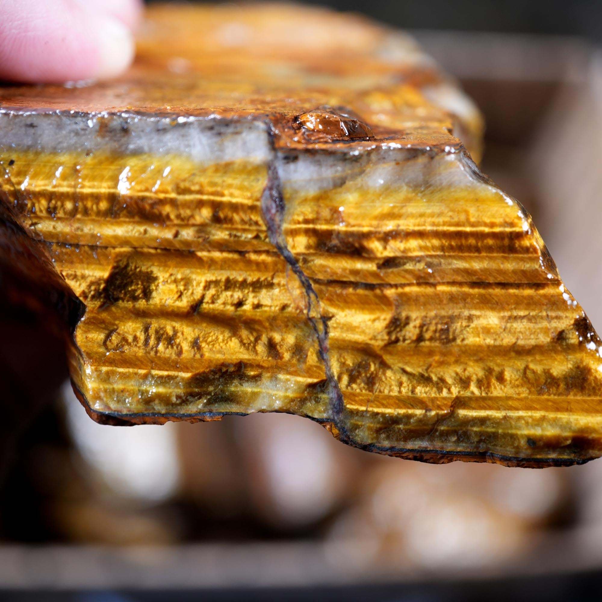 Variegated Golden Tiger Eye Rough Flatrate - Golden Flash Display Box