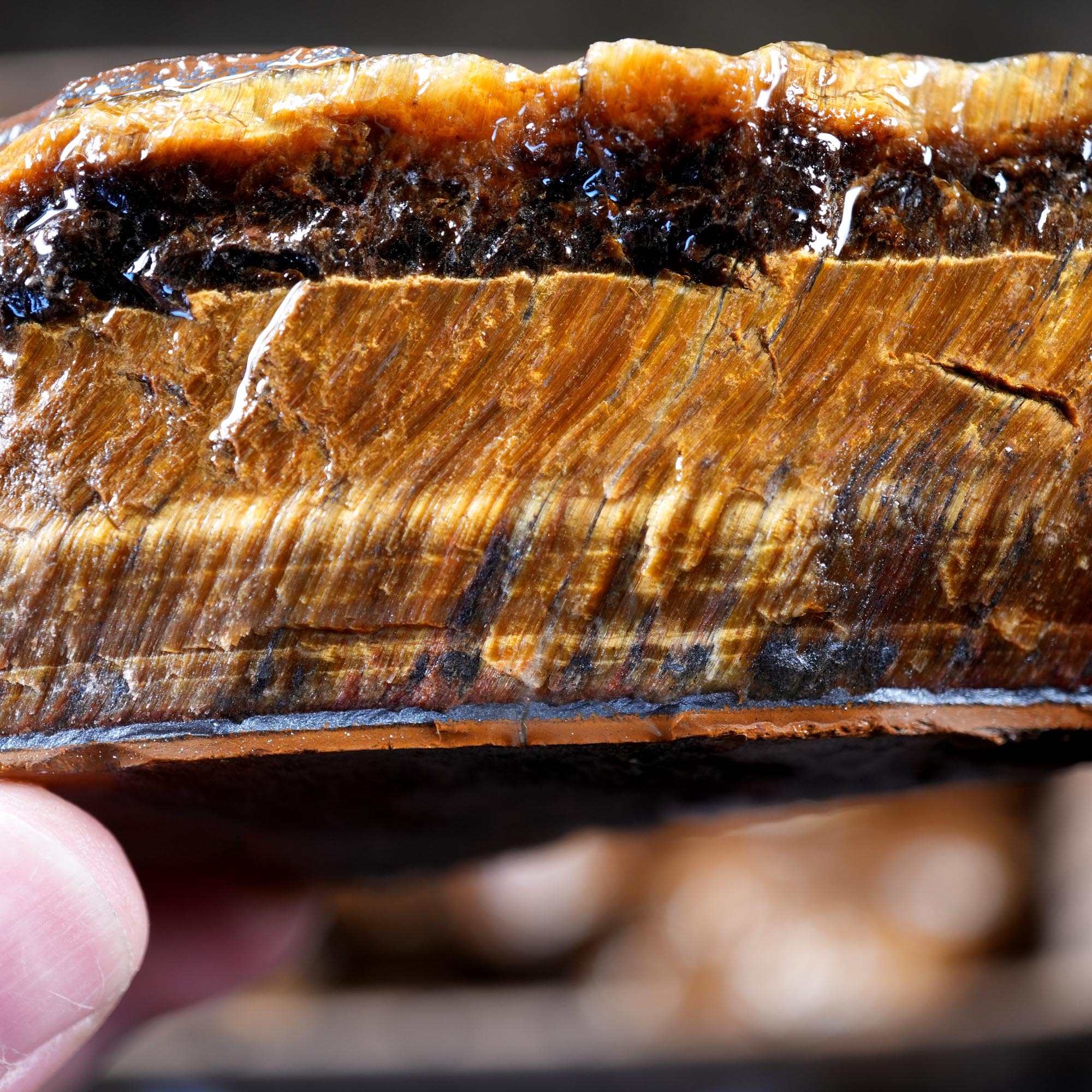 Variegated Golden Tiger Eye Rough Flatrate - Golden Flash Display Box