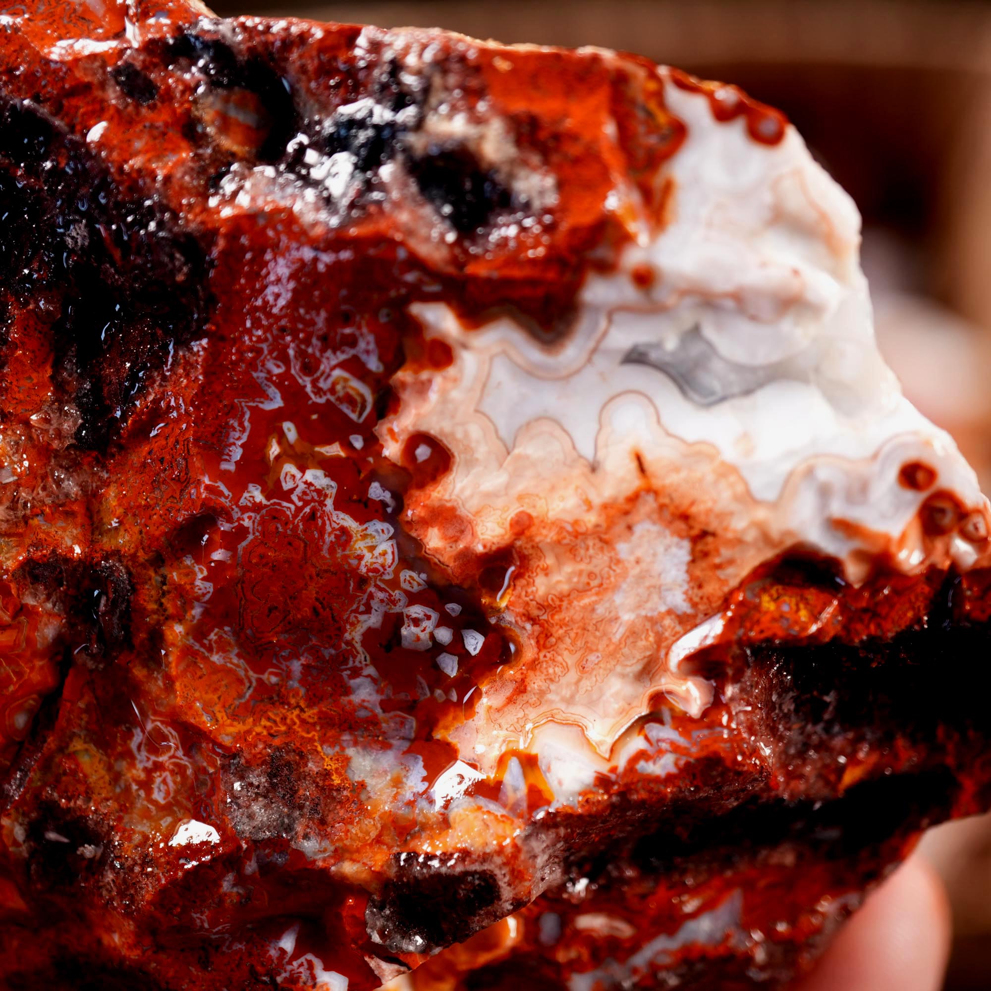Crazy Lace Agate Tumbling Rough Flatrate - Premium Lace Mexican