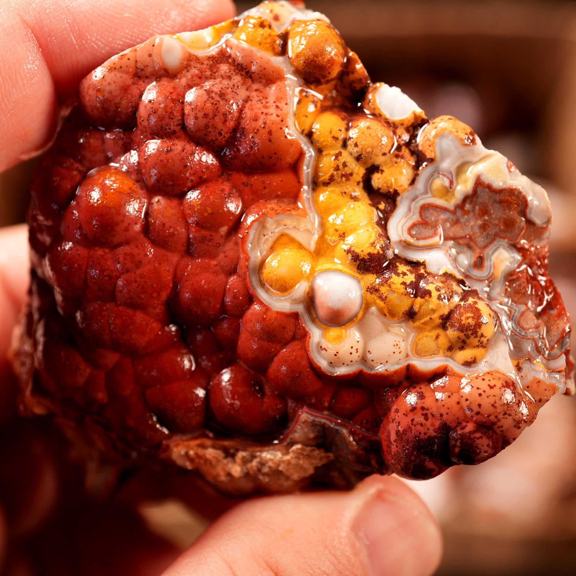 Crazy Lace Agate Tumbling Rough Flatrate - Premium Lace Mexican