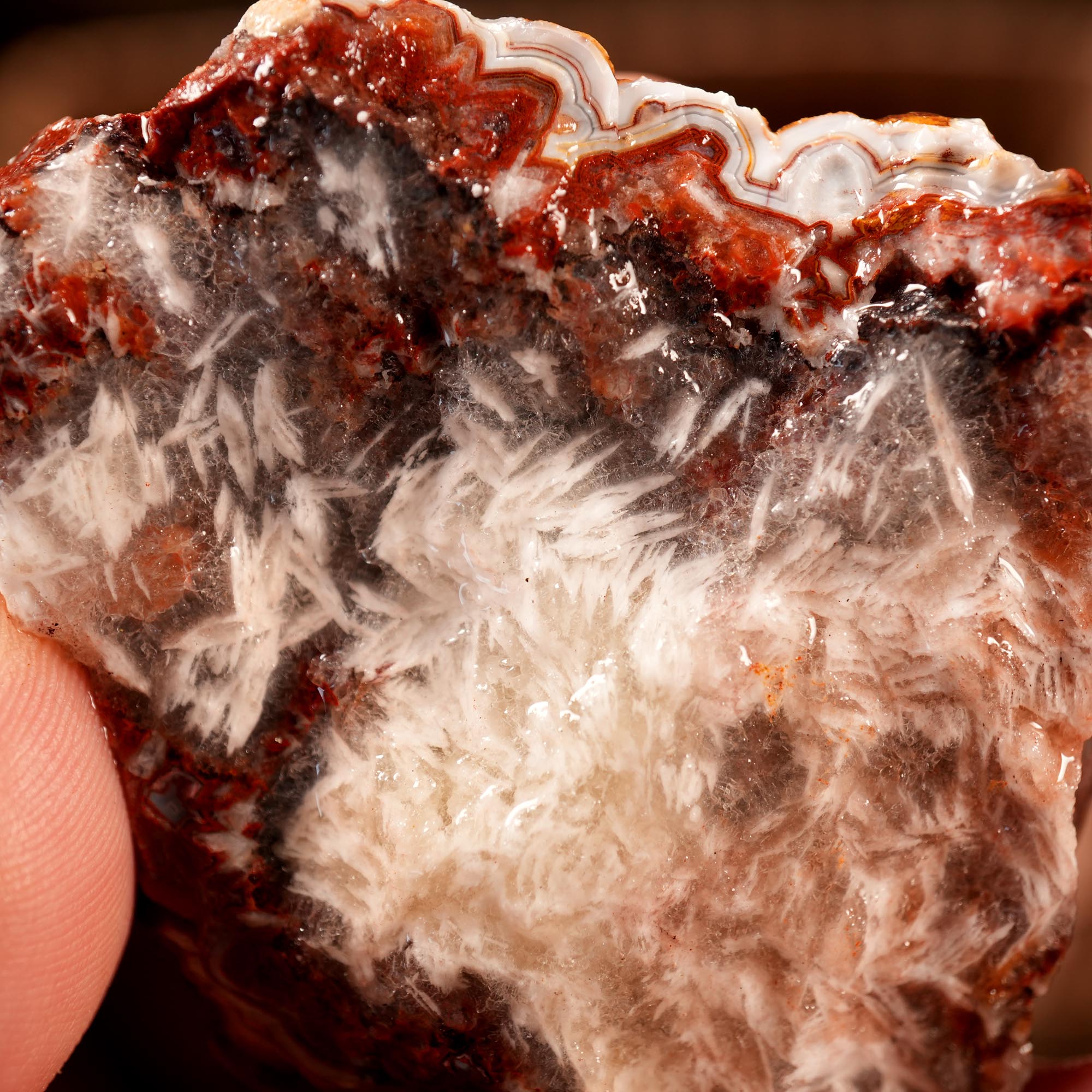 Crazy Lace Agate Tumbling Rough Flatrate - Premium Lace Mexican