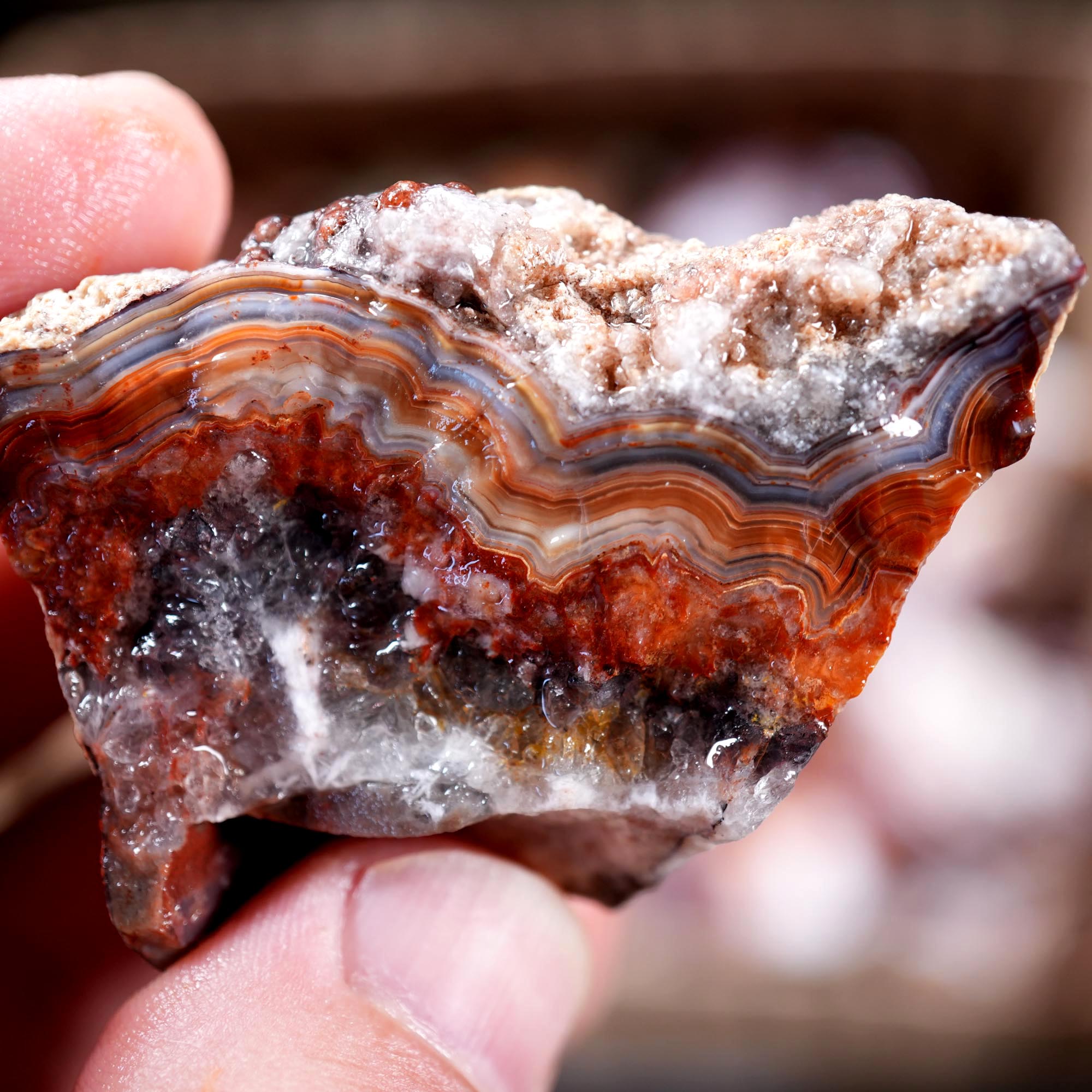 Crazy Lace Agate Tumbling Rough Flatrate - Premium Lace Mexican