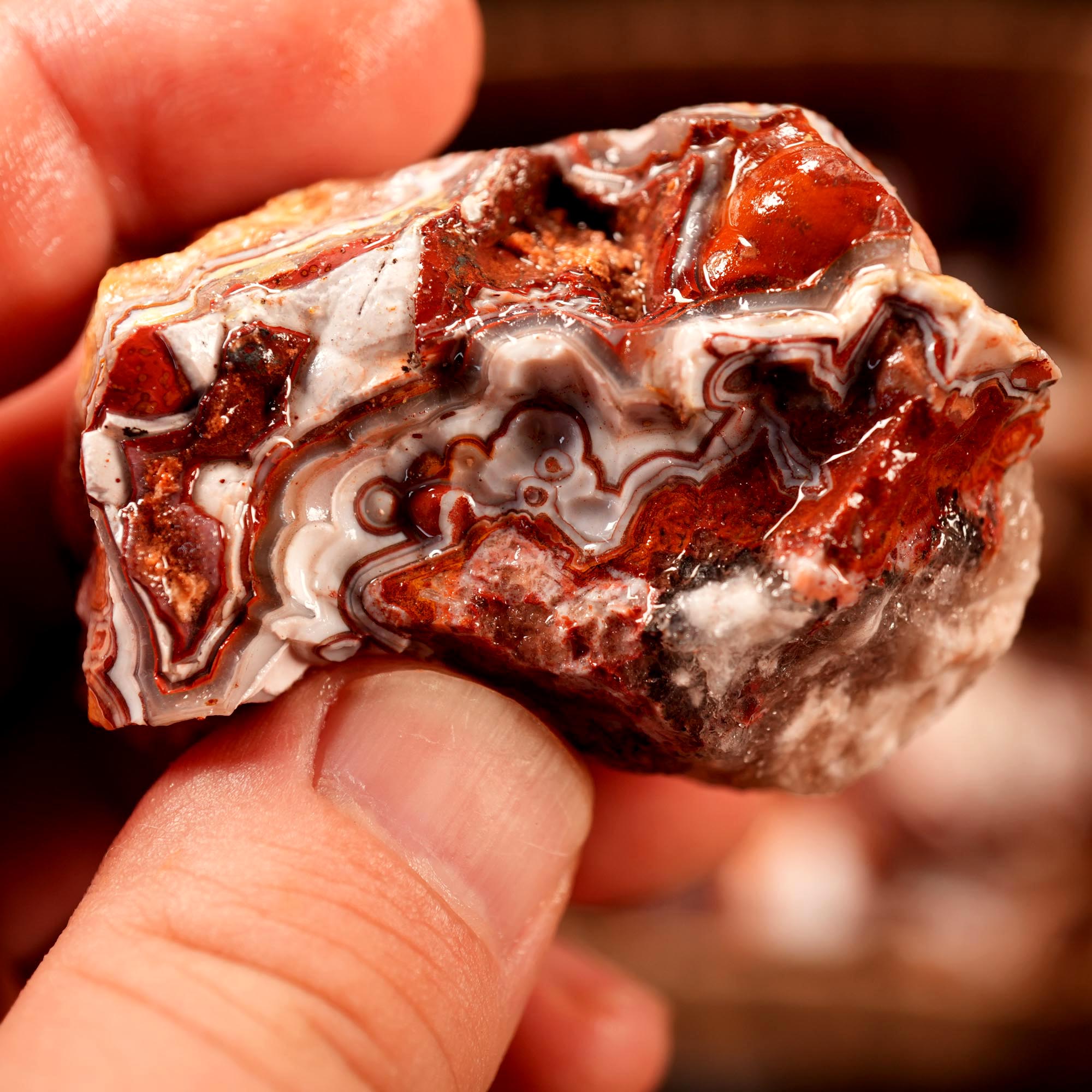 Crazy Lace Agate Tumbling Rough Flatrate - Premium Lace Mexican