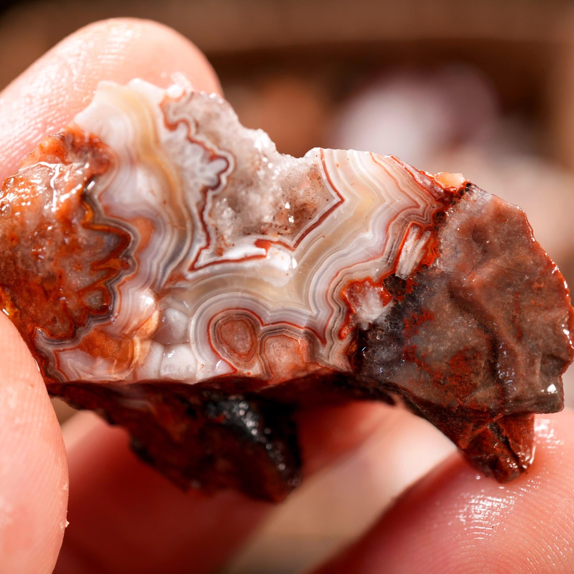 Crazy Lace Agate Tumbling Rough Flatrate - Premium Lace Mexican