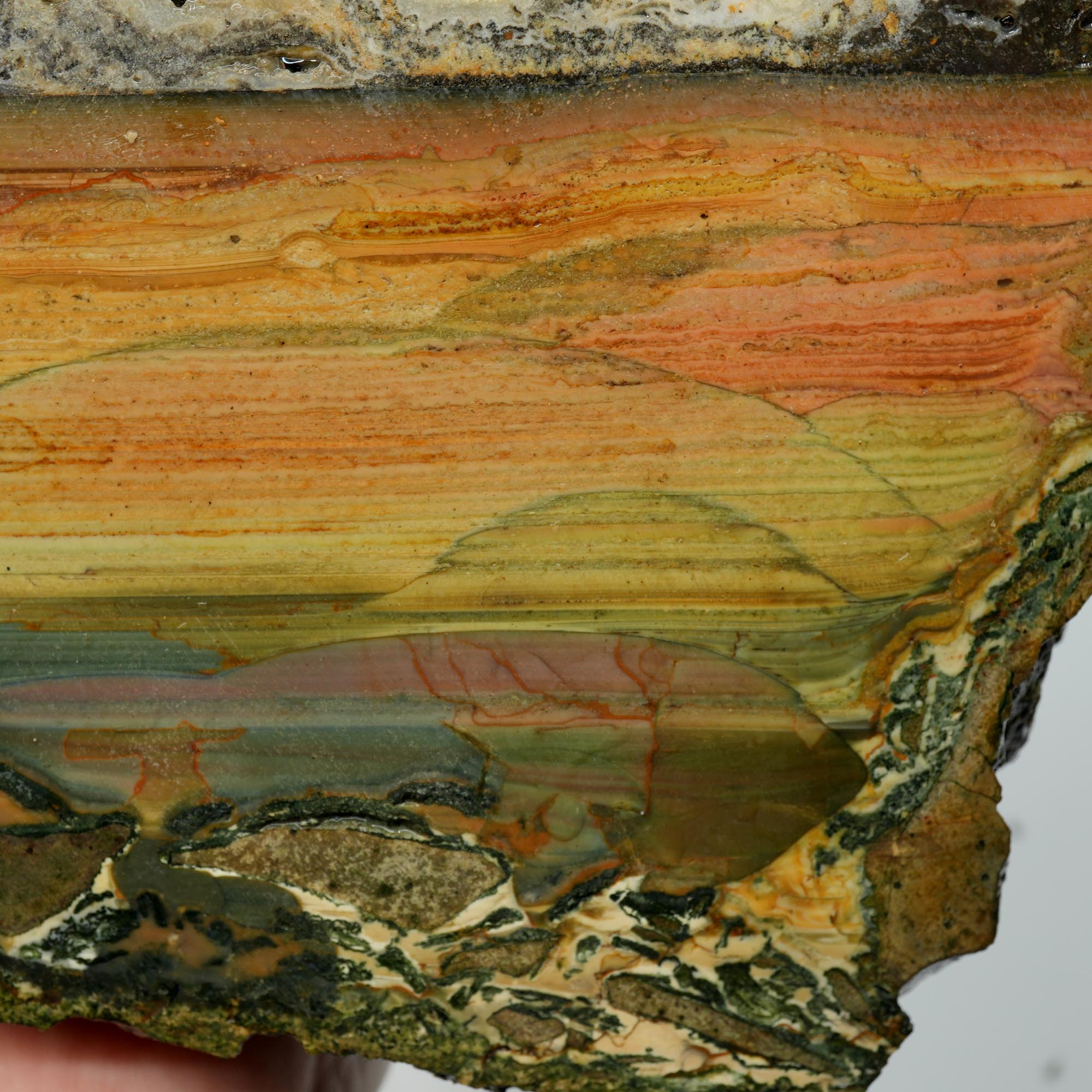 Blue Mountain Jasper Cut and Proven - Orbicular Sunset Purple Green