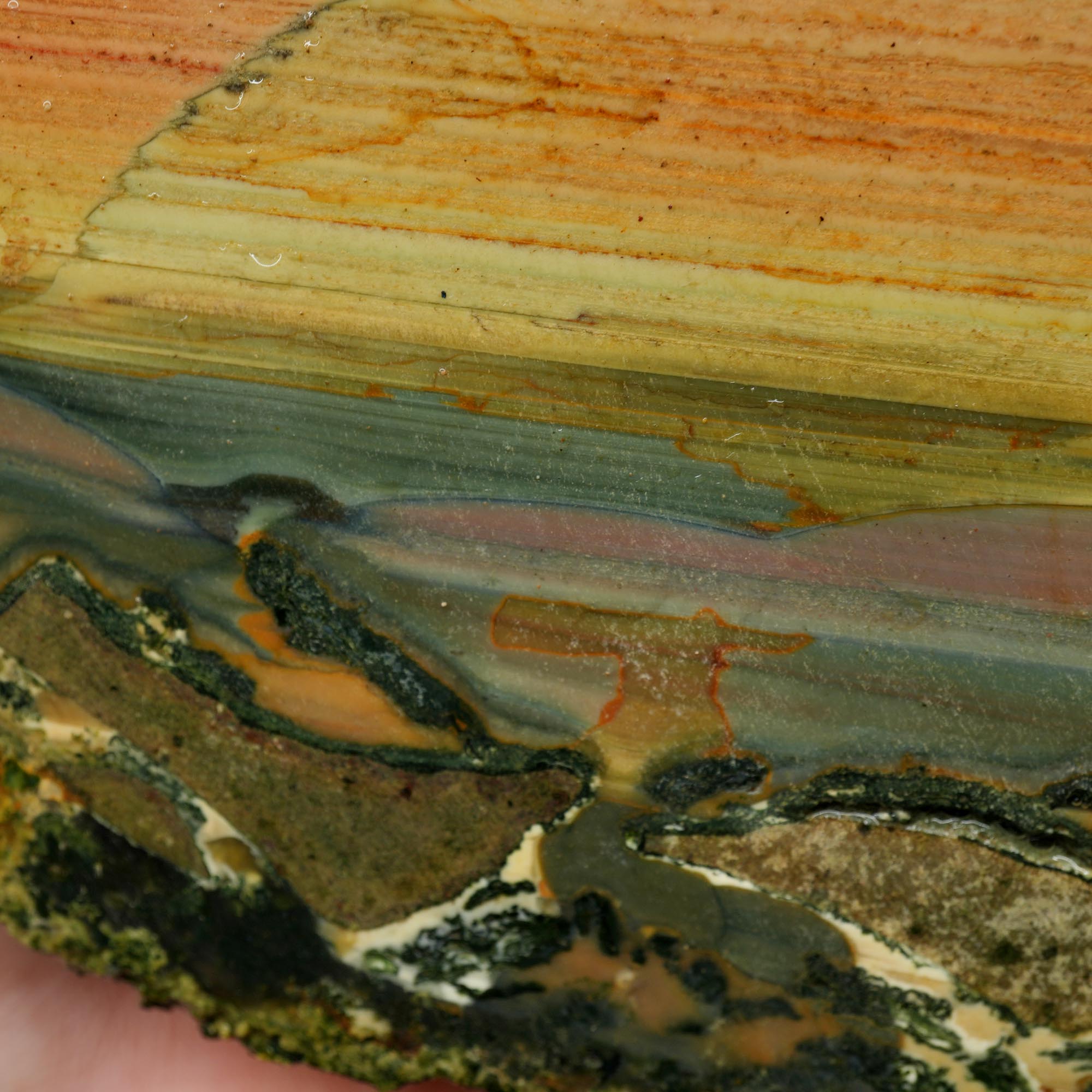 Blue Mountain Jasper Cut and Proven - Orbicular Sunset Purple Green