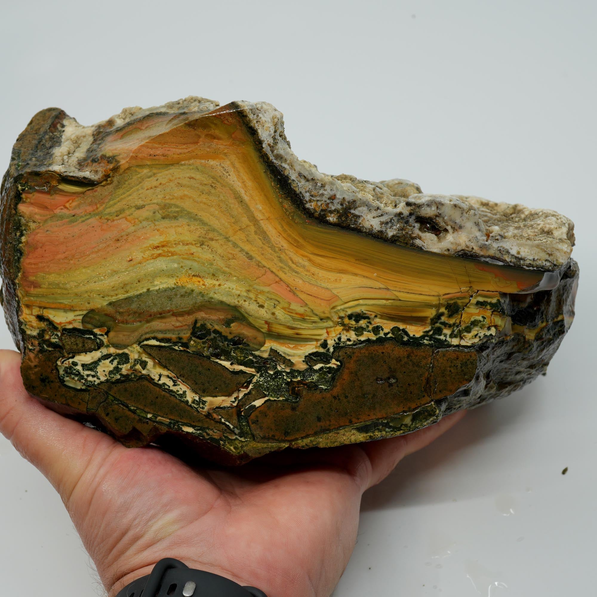 Blue Mountain Jasper Cut and Proven - Orbicular Sunset Purple Green