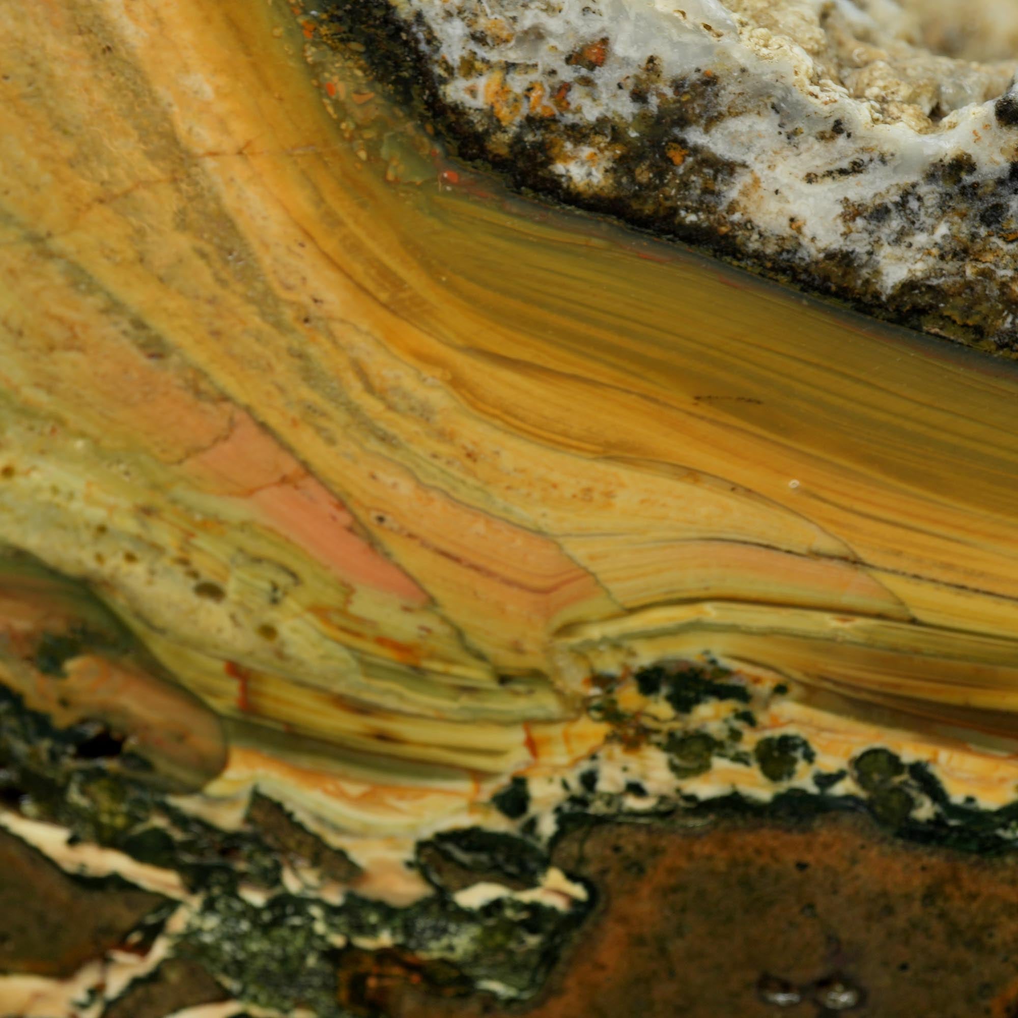 Blue Mountain Jasper Cut and Proven - Orbicular Sunset Purple Green