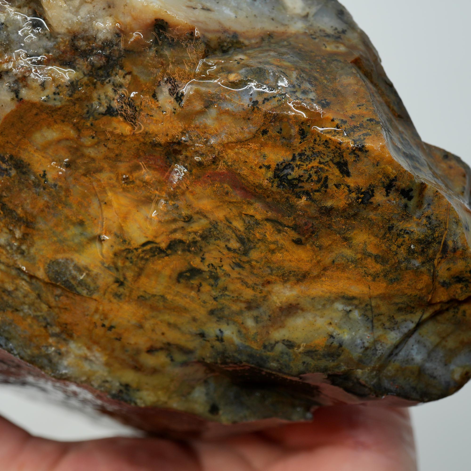 Ochoco Sunset Jasper Rough - Sunset Red Oolitic Galaxy Pattern