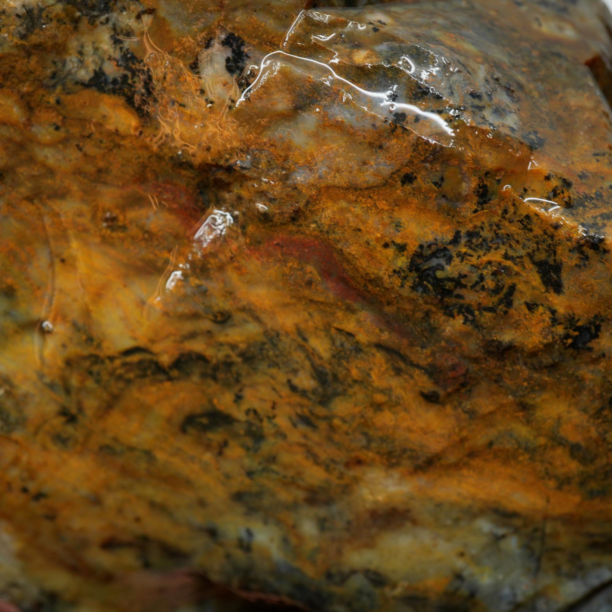Ochoco Sunset Jasper Rough - Sunset Red Oolitic Galaxy Pattern