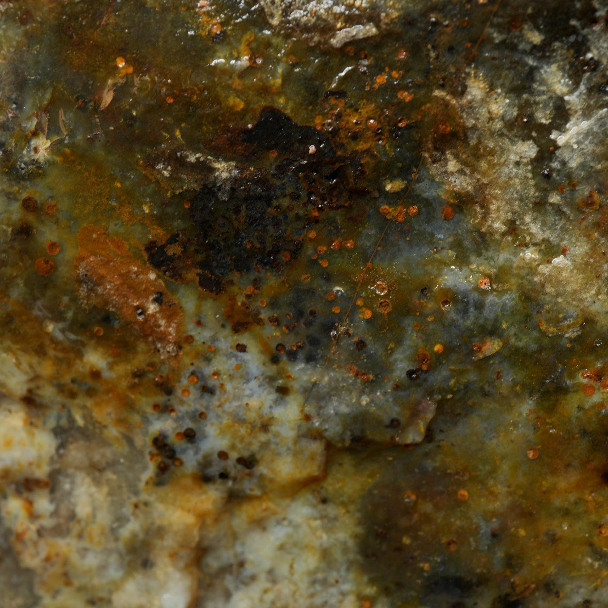 Ochoco Sunset Jasper Rough - Sunset Red Oolitic Galaxy Pattern