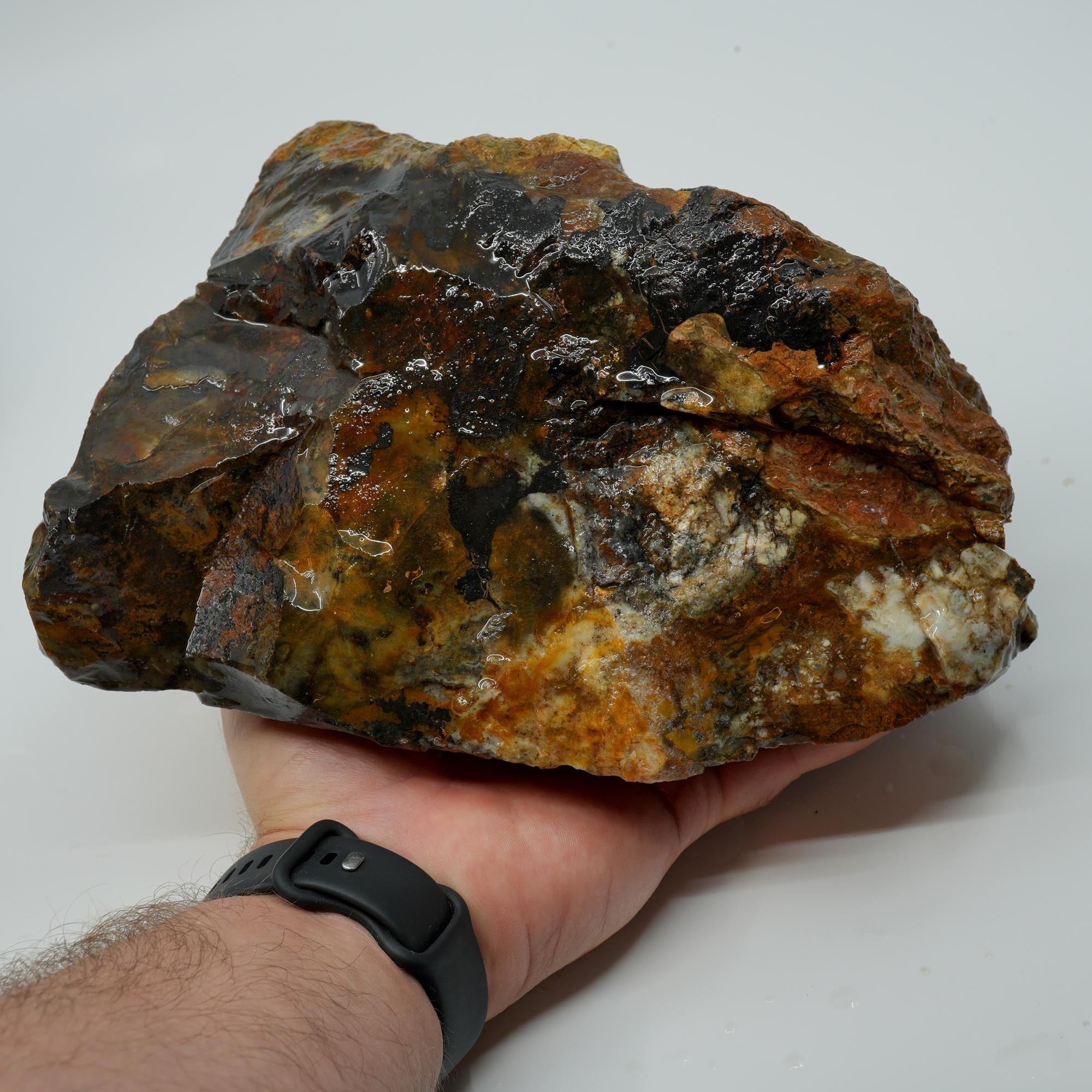 Ochoco Sunset Jasper Rough - Sunset Red Oolitic Galaxy Pattern